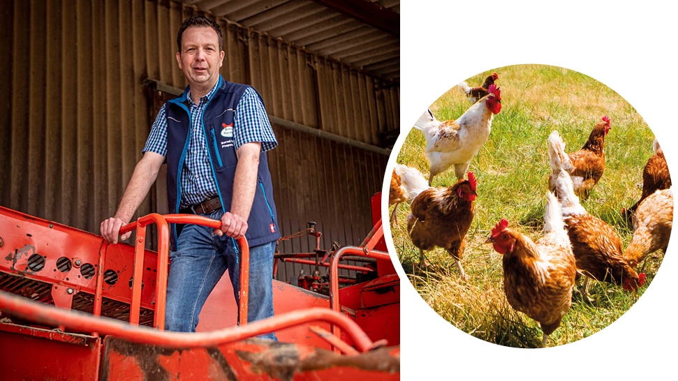 Collage aus zwei Bildern: Ein Mann mit blauer Weste an einer roten landwirtschaftlichen Maschine sowie freilaufende Hühner.