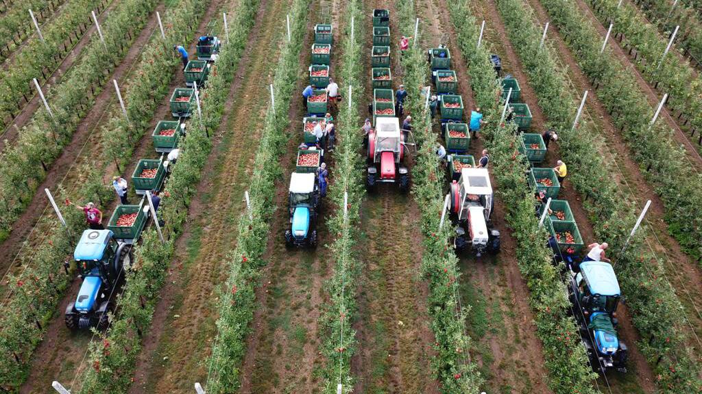Luftaufnahme von Traktoren mit Anhängern auf einem bestellten Feld.