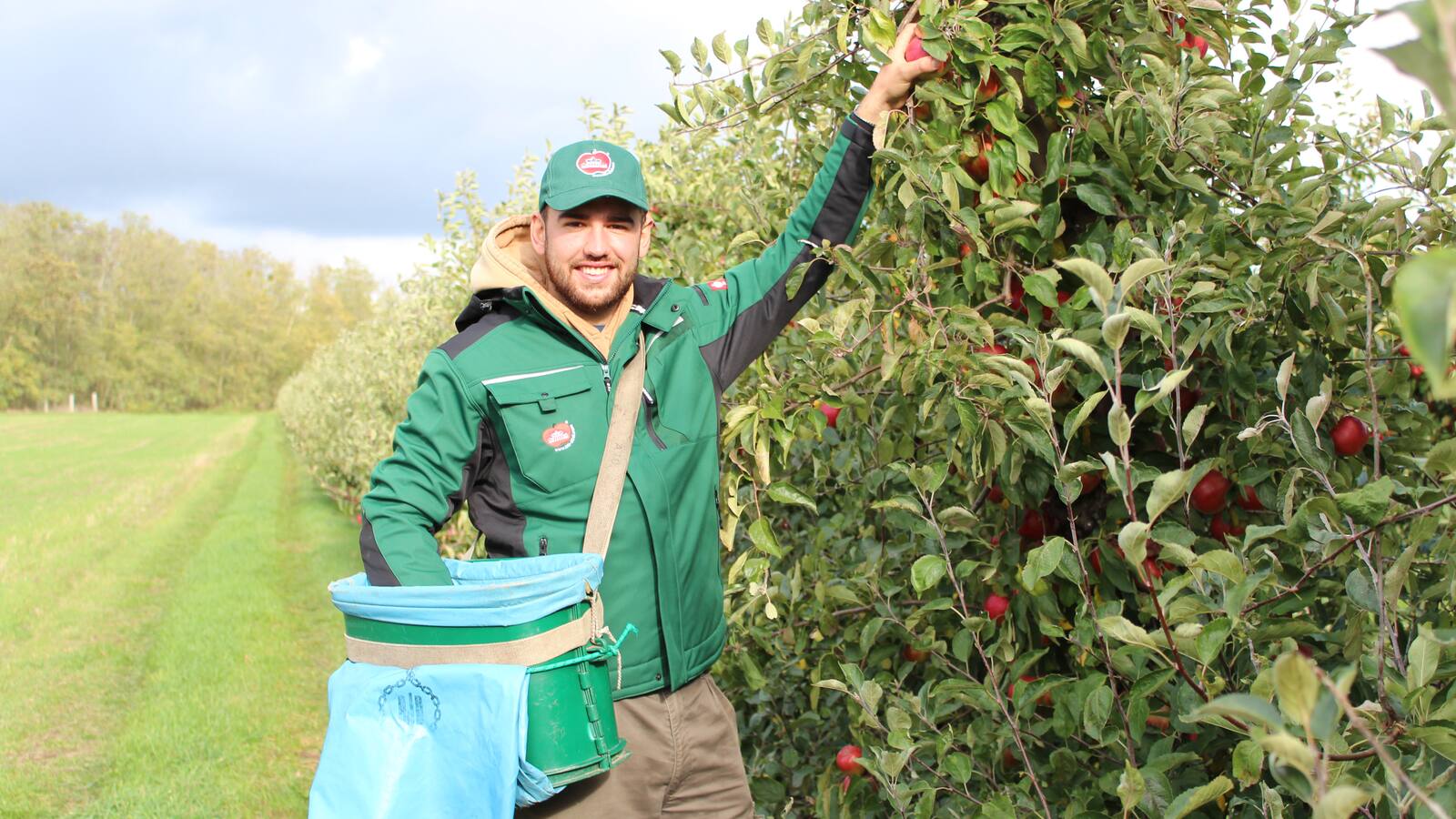 Ein Mann in grüner Jacke pflückt einen Apfel. Seine andere Hand steckt in einer Umhängetasche, die an seiner Schulter hängt.