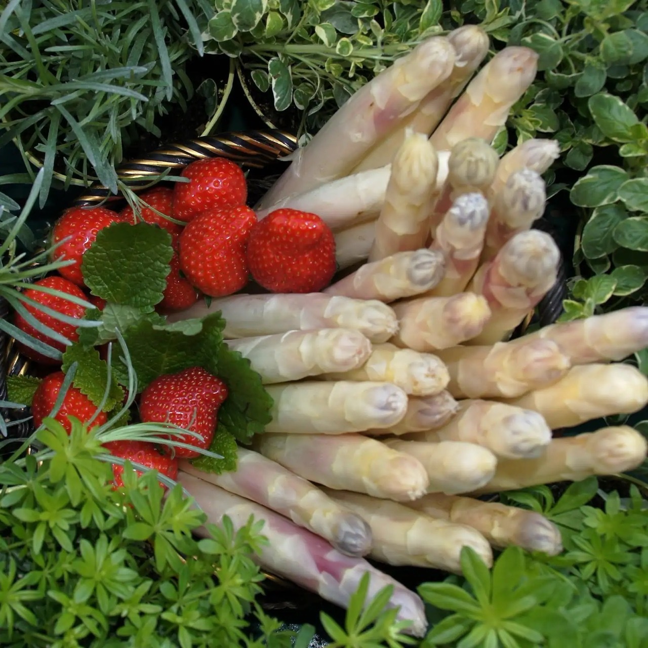 Weiße Spargelstangen und Erdbeeren liegen zwischen grünen Pflanzen.