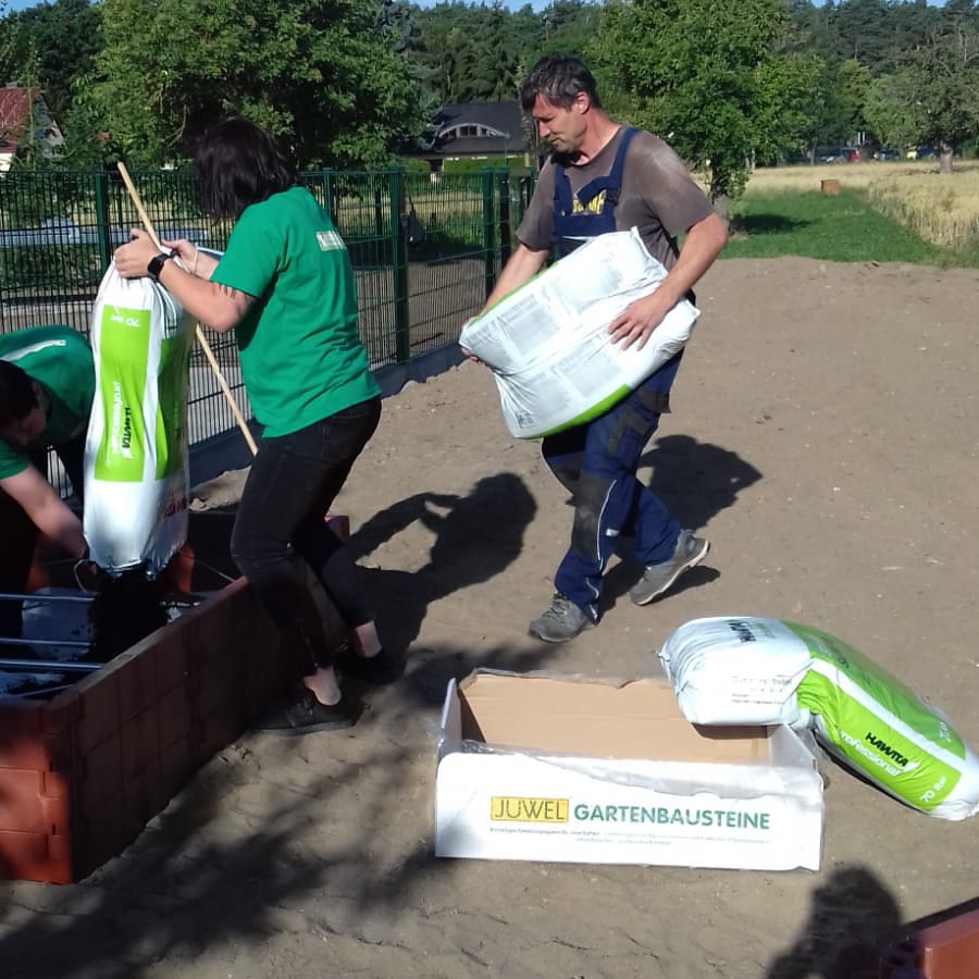 Das Bild zeigt die Mitarbeitenden wie sie das Gemüsebeet mit Erde füllen.