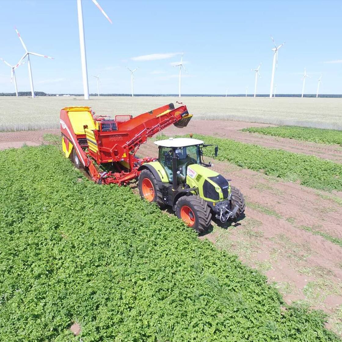 Grüner Traktor mit roter Erntemaschine auf einem Kartoffelfeld. Im Hintergrund Windkraftanlagen.