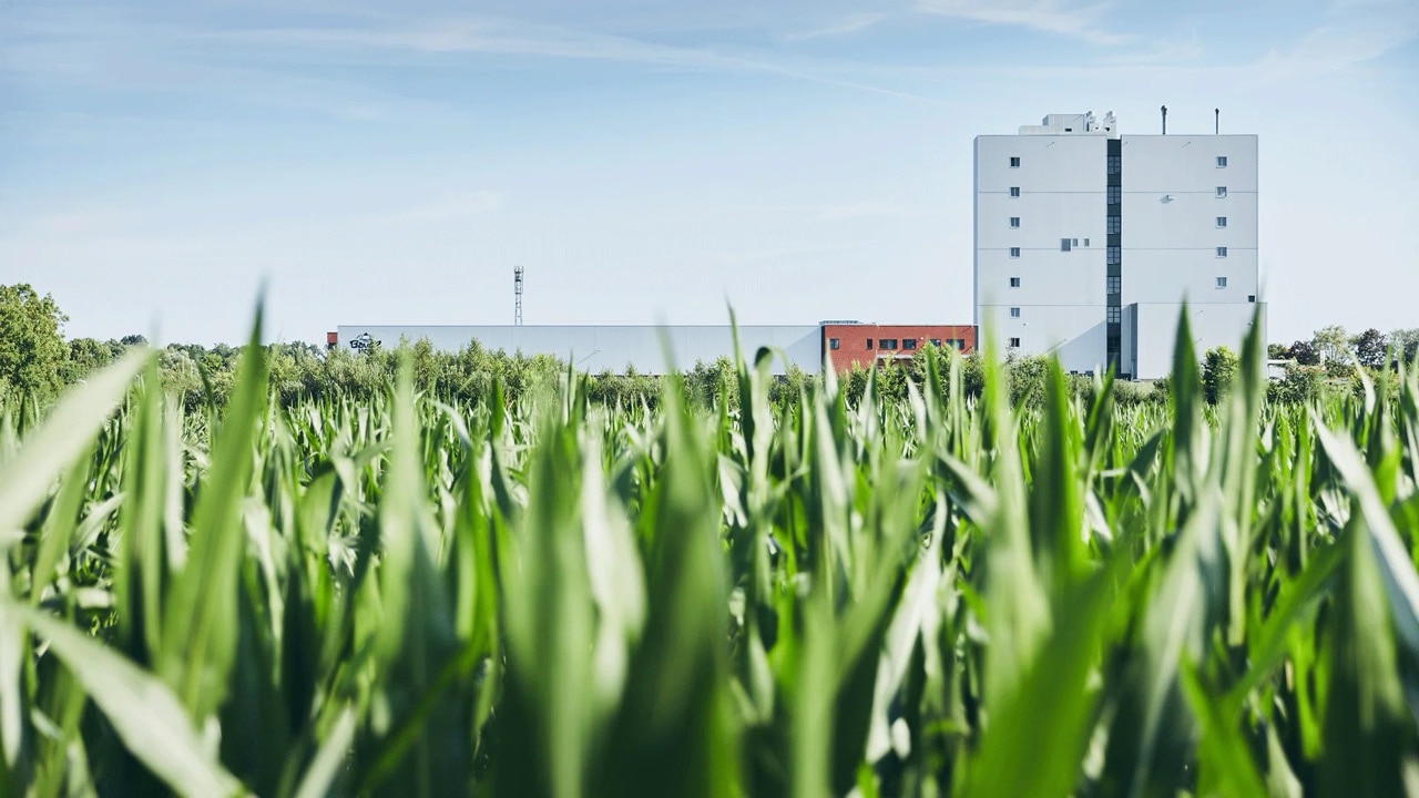 Großes weißes Gebäude im Hintergrund eines Feldes mit grünen Pflanzen.