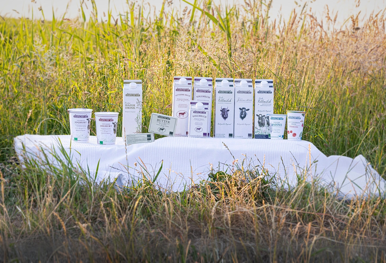Das Hamfelder Hof Sortiment auf weißem Tuch in einem Feld: Joghurt, Haferdrink, Butter, Milch, Sahne und Buttermilch in weißen Packungen.