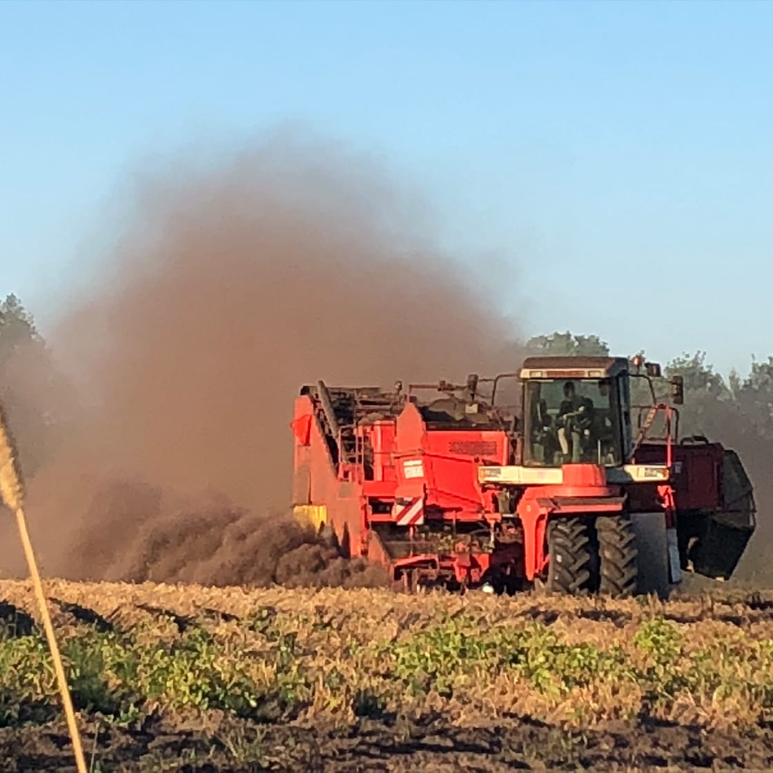 Rote Landwirtschaftsmaschine fährt über ein Feld und wirbelt braunen Staub auf.