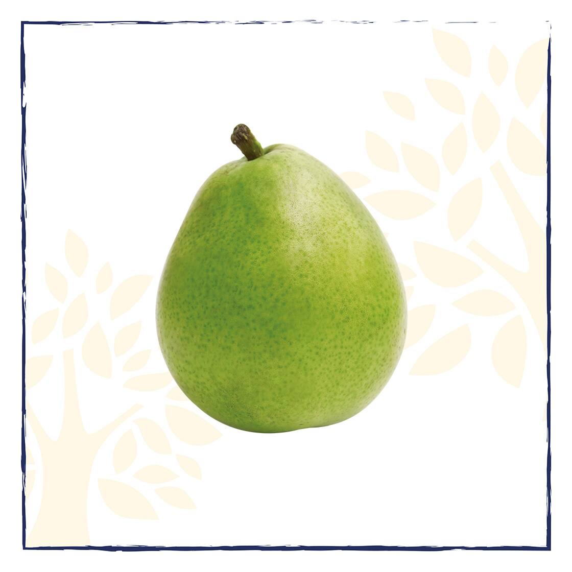 Eine grüne rundliche Birne.