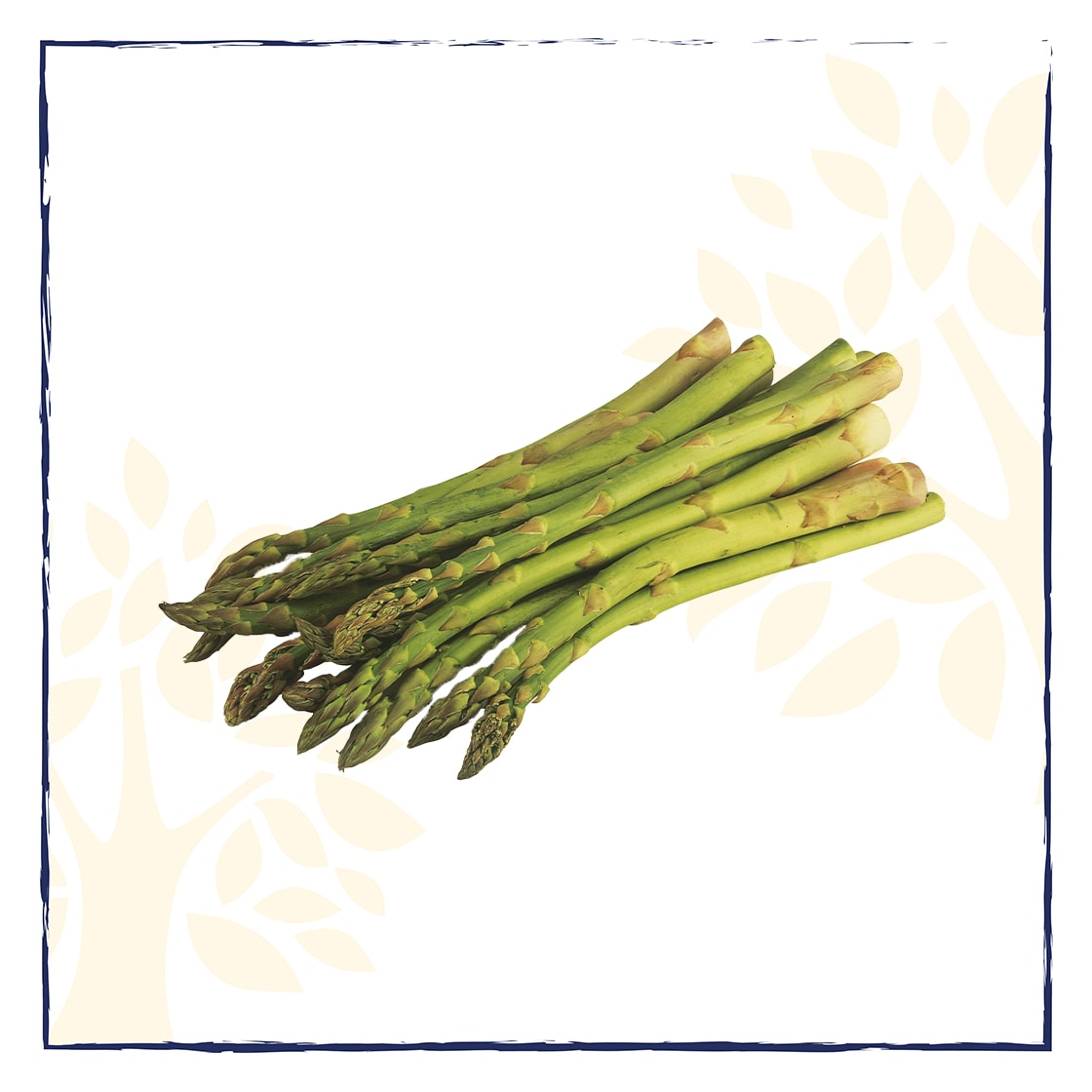 Ein Bund grüner Spargel.