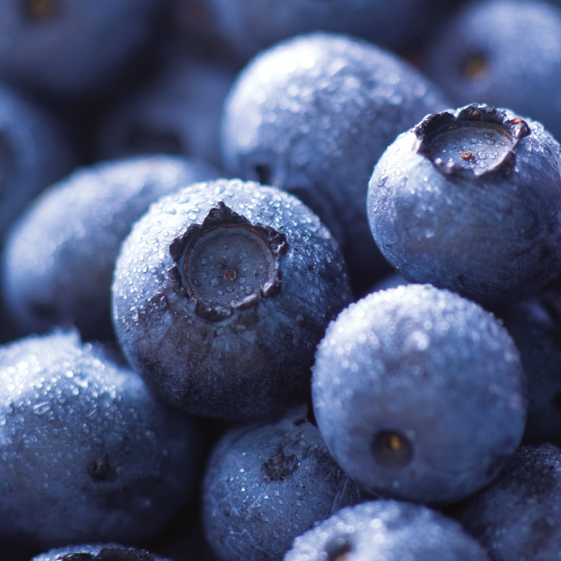 Nahaufnahme Blaubeeren.