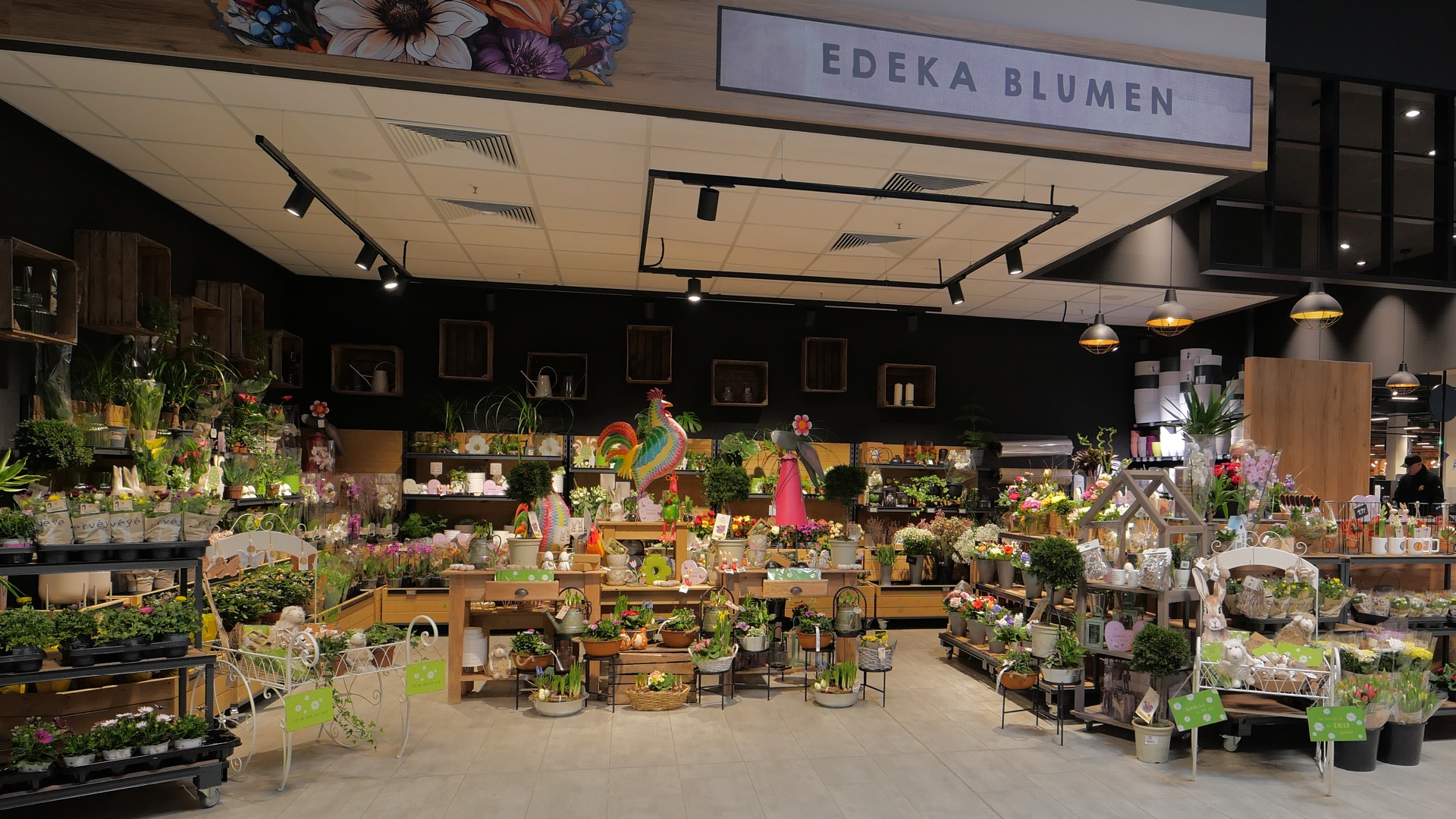 E center Neuruppin Blumen