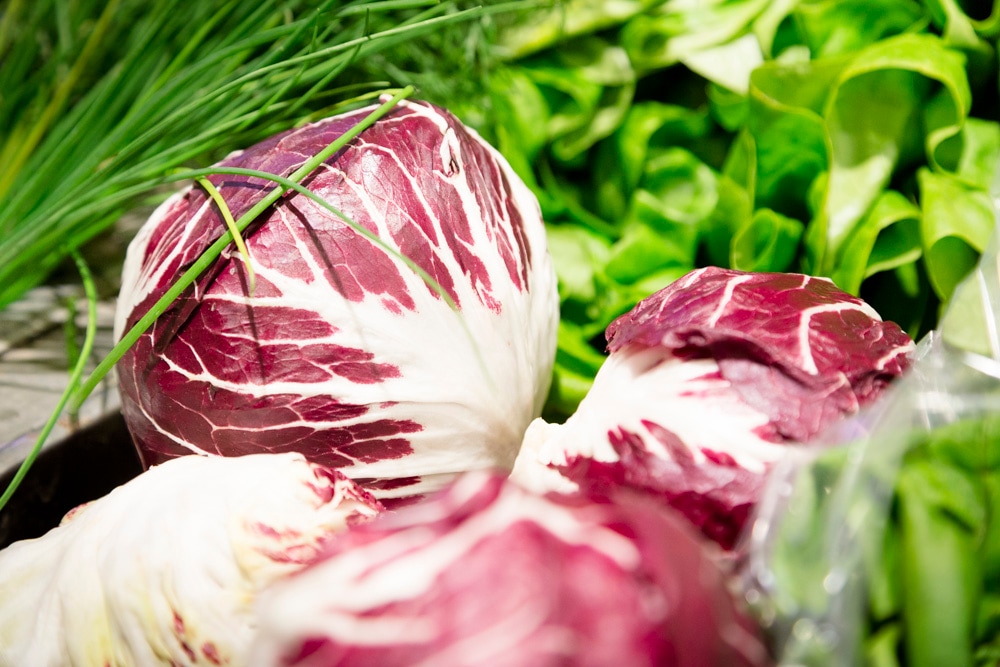 Nahaufnahme zweier Chicorees.