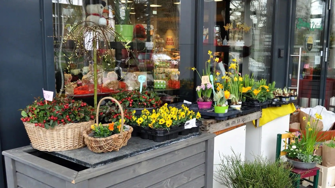 Im Außenbereich vor der Eingangstür stehen Pflanzen zum Verkauf.