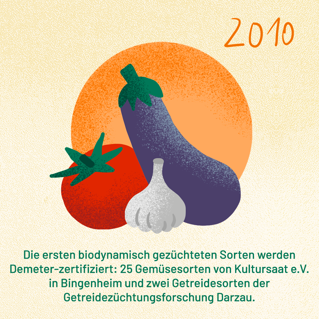 2010: Die ersten biodynamisch gezüchteten Sorten werden Demeter-zertifiziert: 25 Gemüsesorten von Kultursaat e.V. in Bingenheim und zwei Getreidesorten der Getreidezüchtungsforschung Darzau.