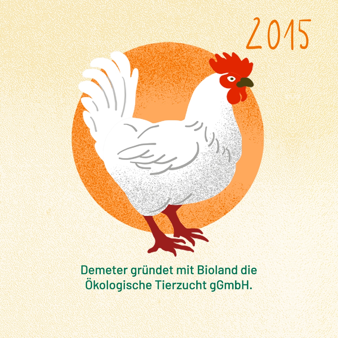 2015: Demeter gründet mit Bioland die Ökologische Tierzucht gGmbH.
