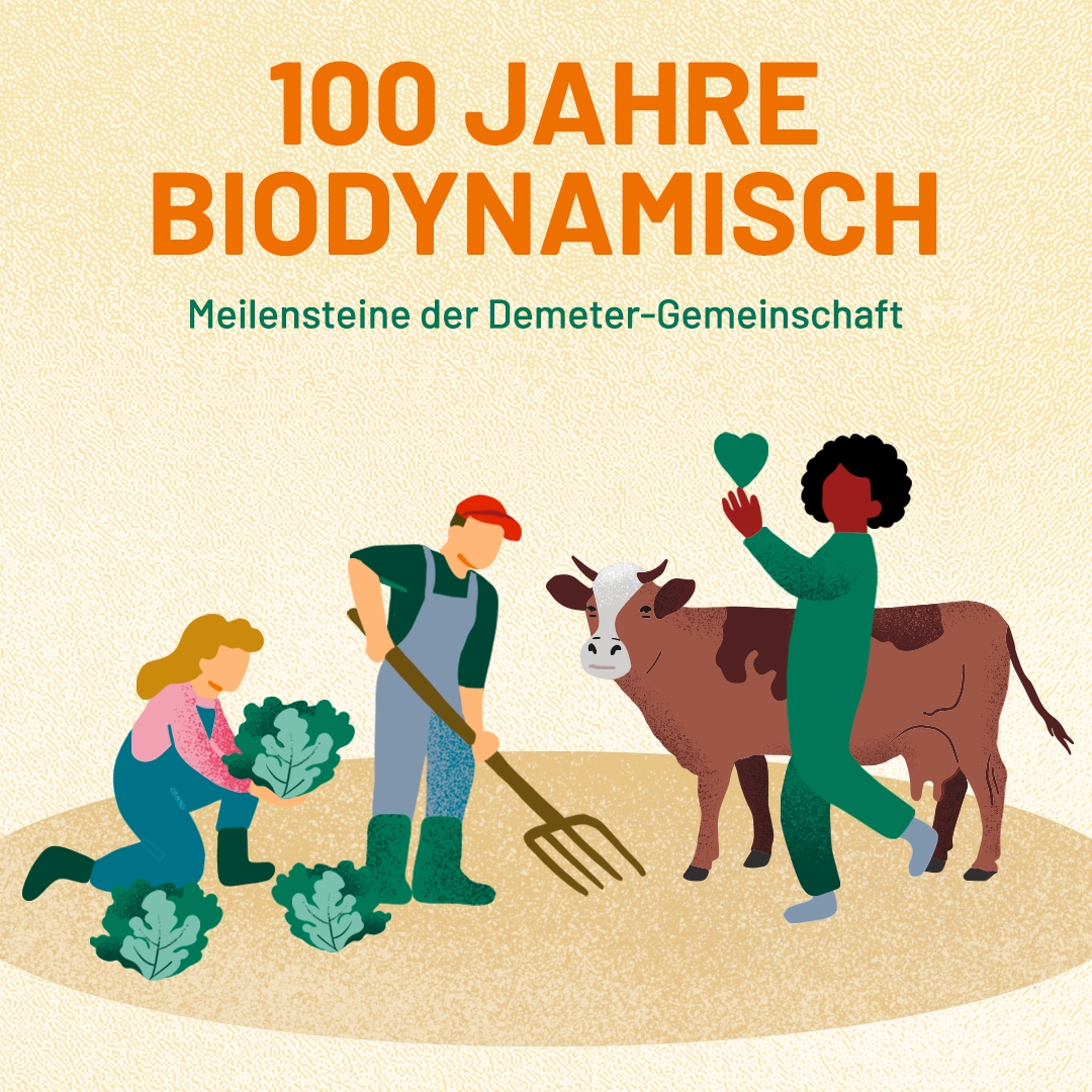 Landwirtschaftliche Illustration mit Text: 100 Jahre biodynamisch. Meilensteine der Demeter-Gemeinschaft.