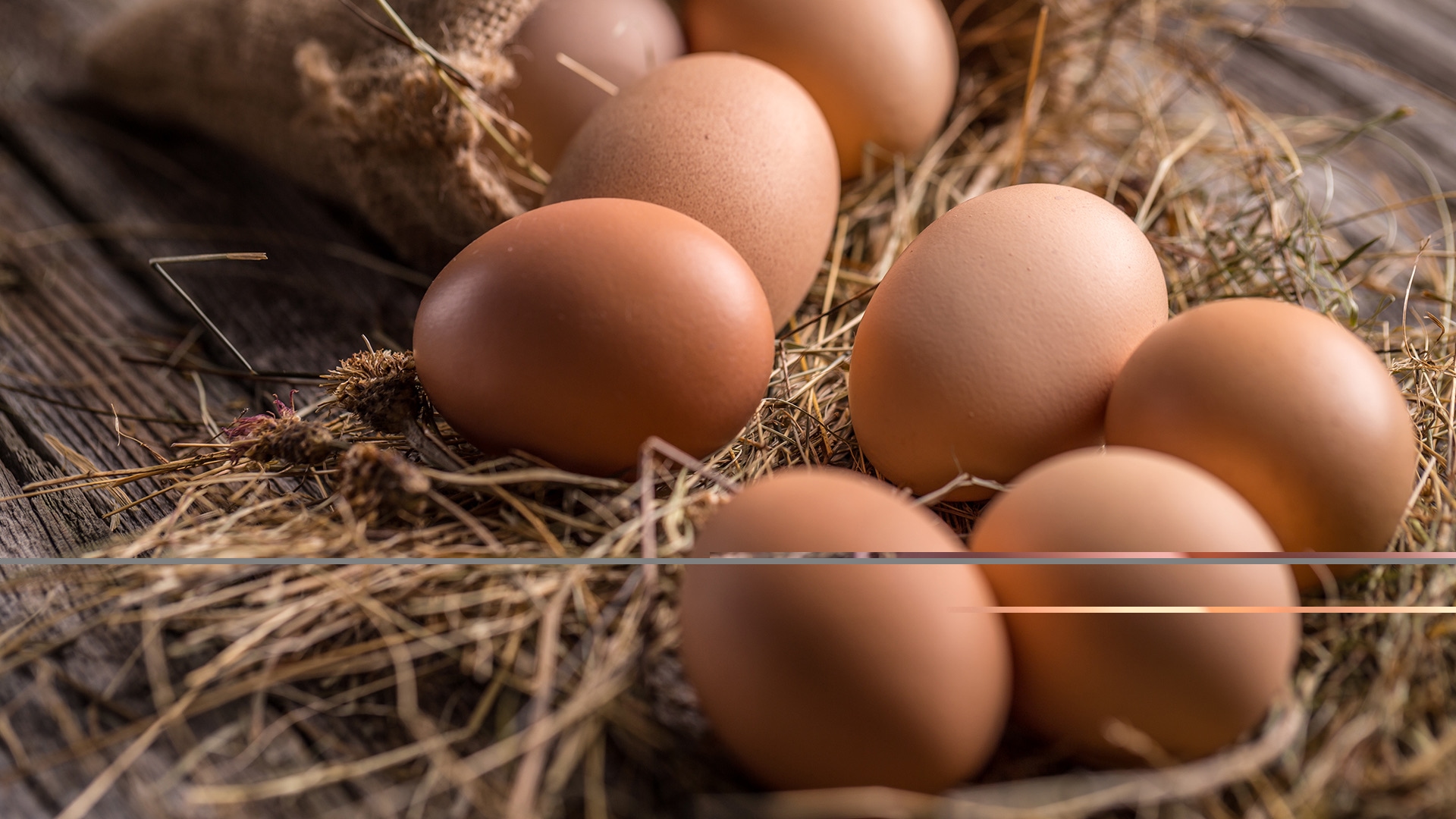 Braune Eier auf Stroh.
