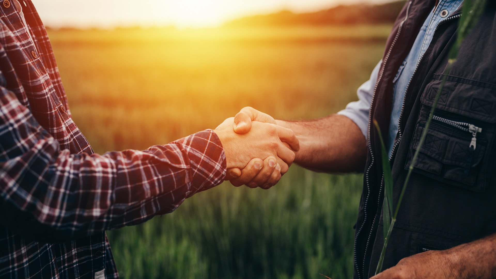 Zwei männliche Personen reichen sich die Hand vor einem sonnigen Feld.