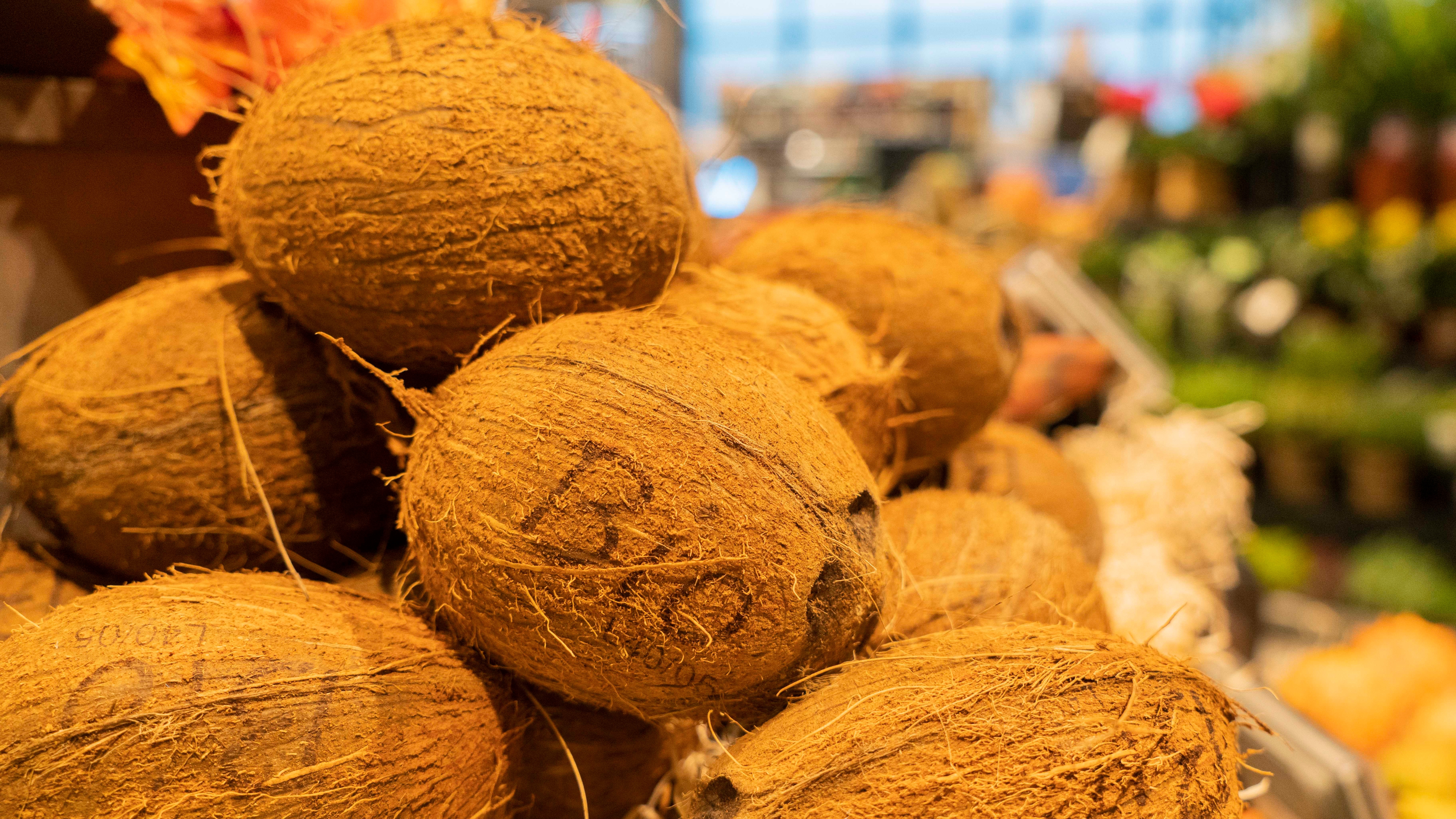 Nahaufnahme von Kokusnüssen auf denen das Wort "Bio" zu lesen ist.