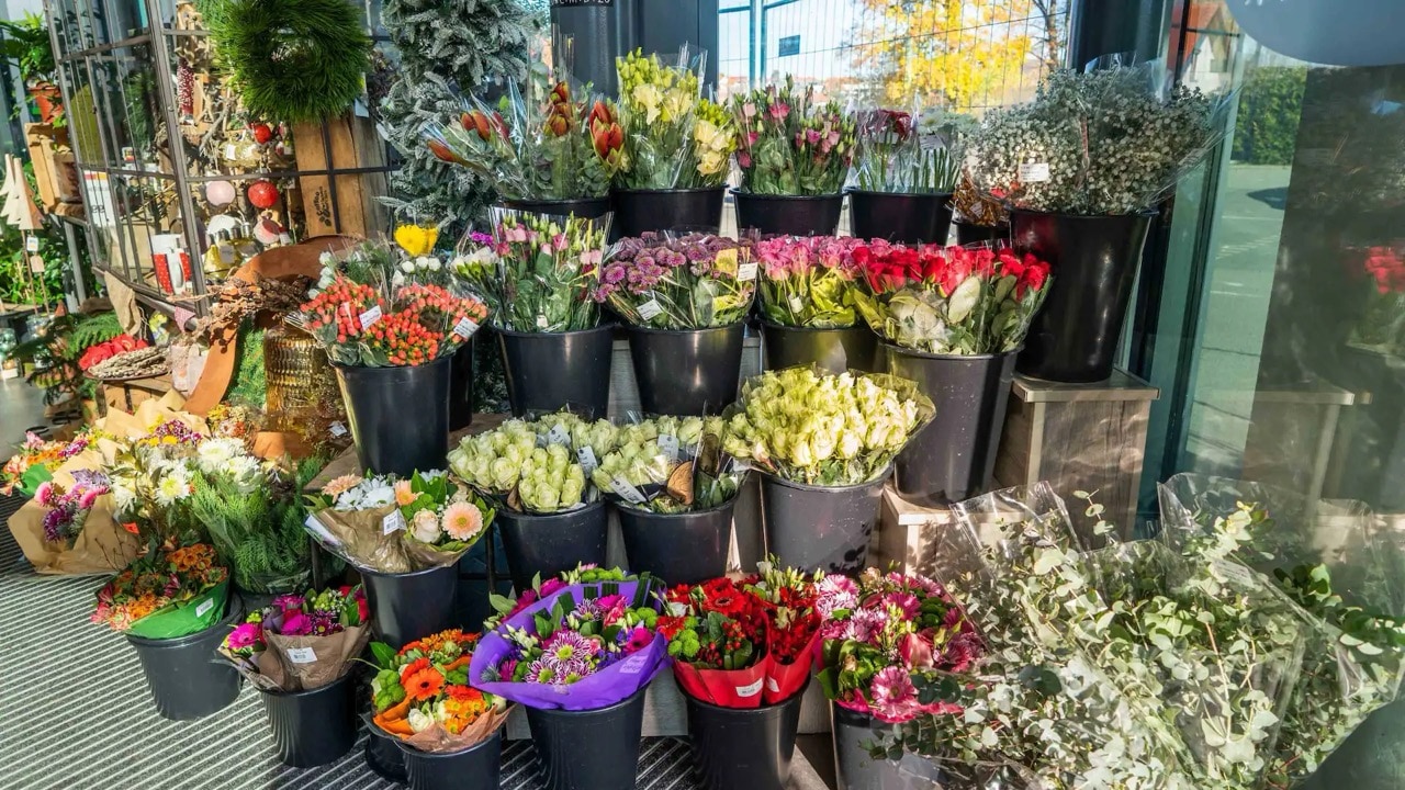 Blumen im Eingangsbereich eines EDEKA-Marktes.