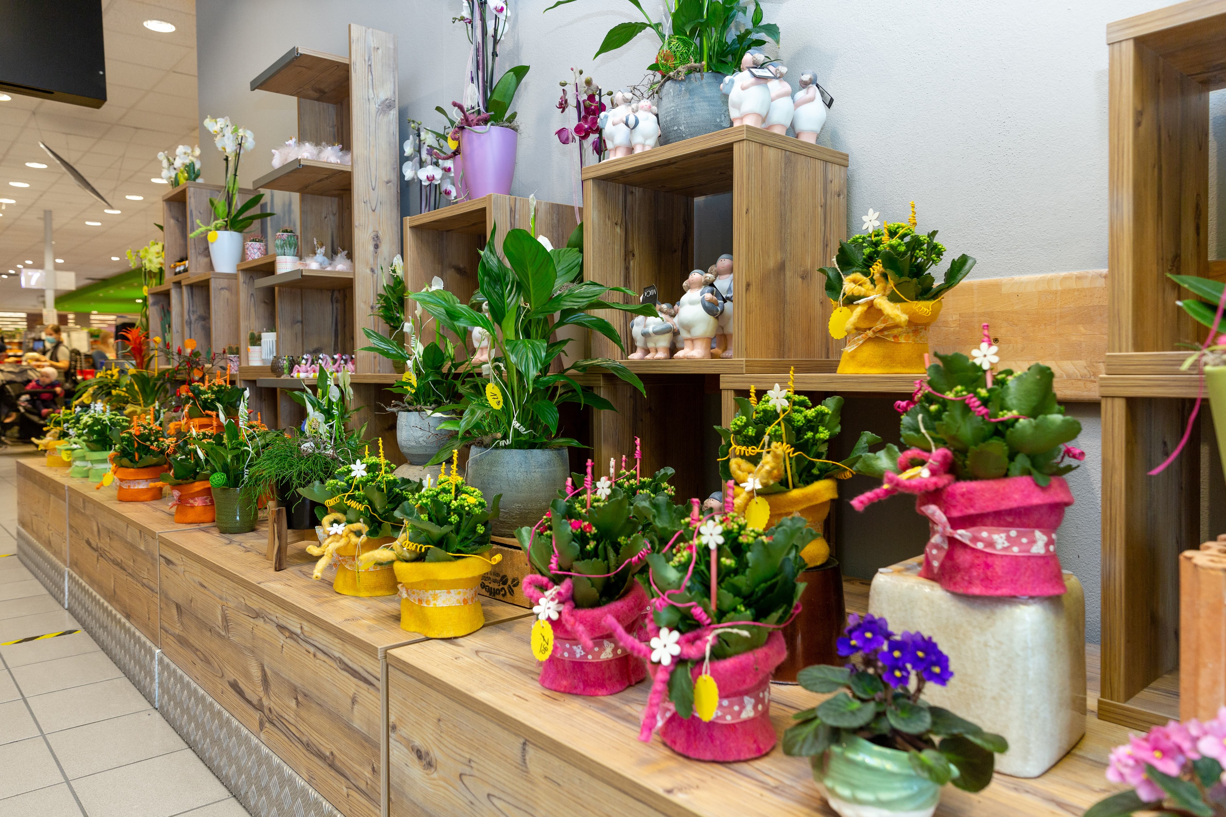Verschiedene Blumen und Pflanzen im Eingangsbereich eines Edeka-Centers.