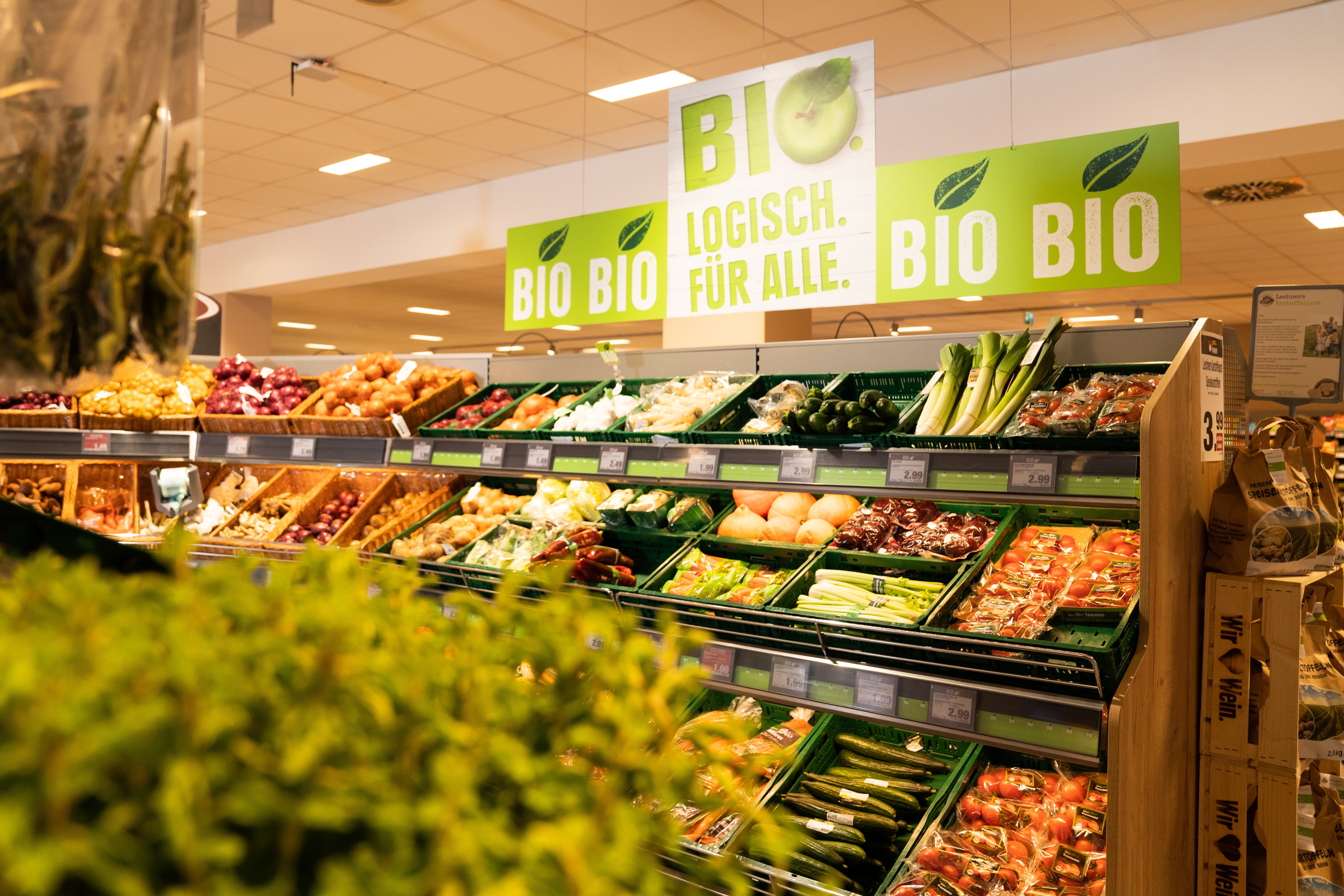 Gemüseabteilung mit mehreren Bio-Schildern.