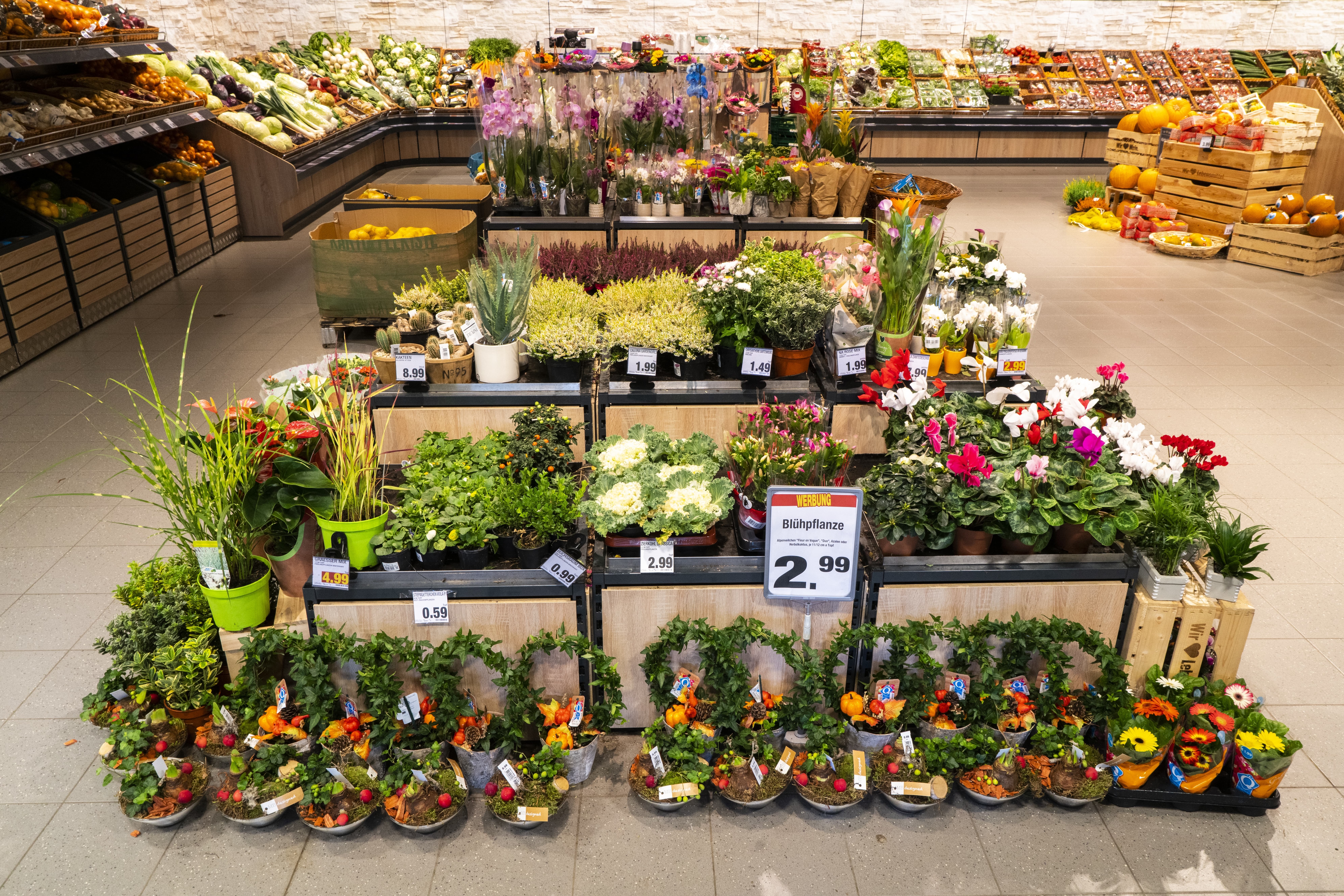 Ein Stand mit verschiedenen Blumen und Pflanzen in einem Edeka-Markt.
