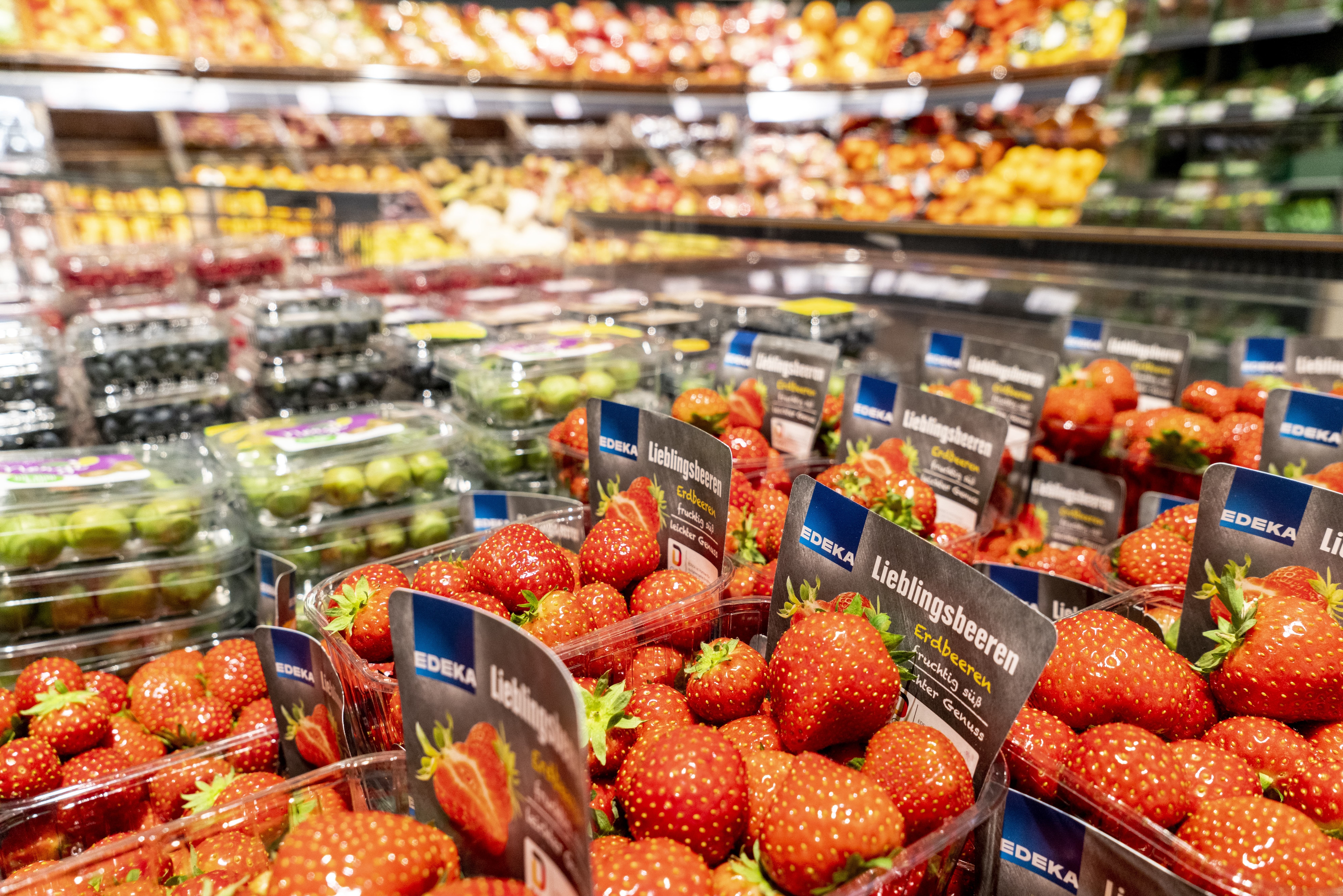 Close-Up von Erdbeer-Schachteln, im Hintergrund die Obst- und Gemüseabteilung eines EDEKA-Markts.
