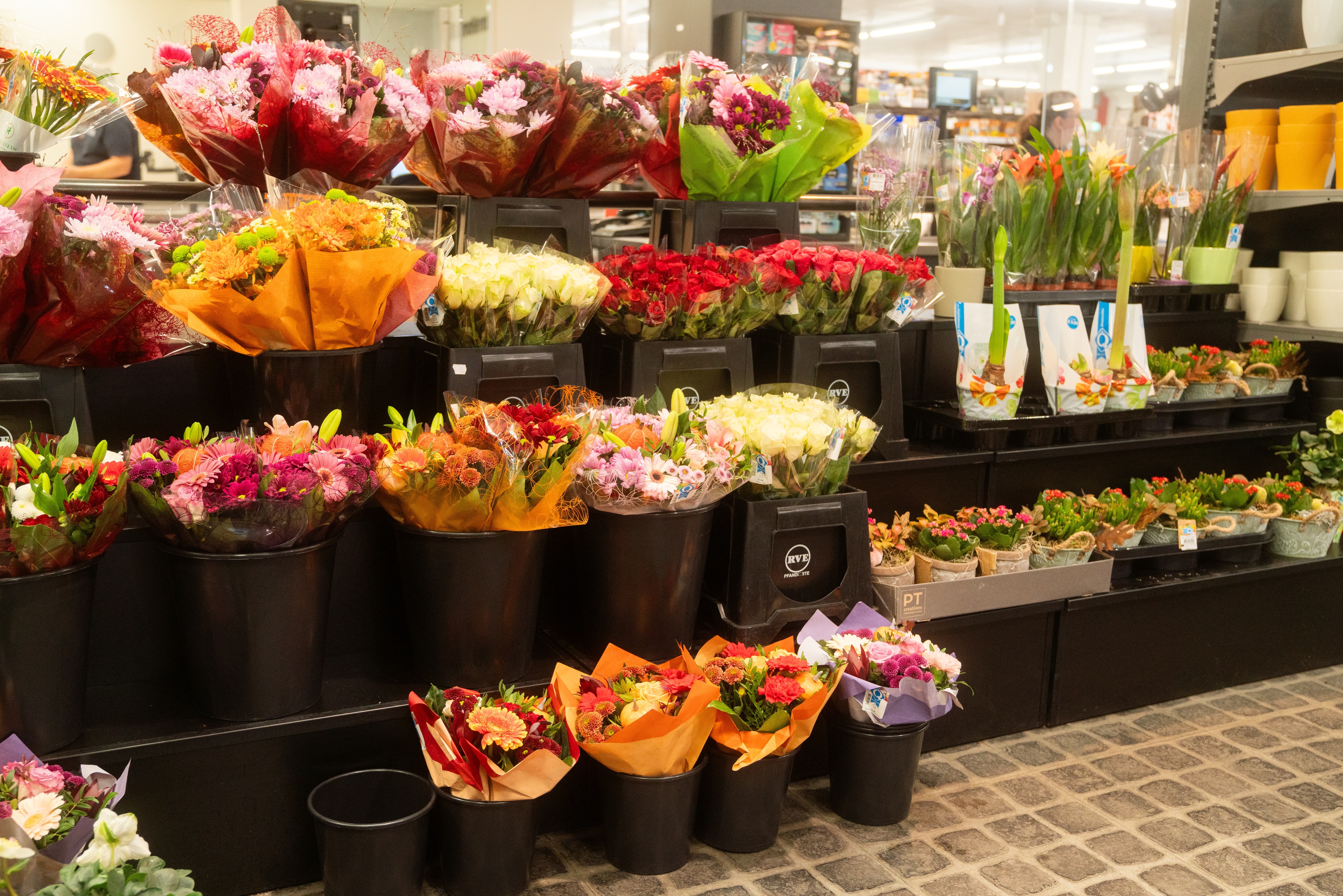 Eingepackte, gebundene Blumen in schwarzen Eimern.