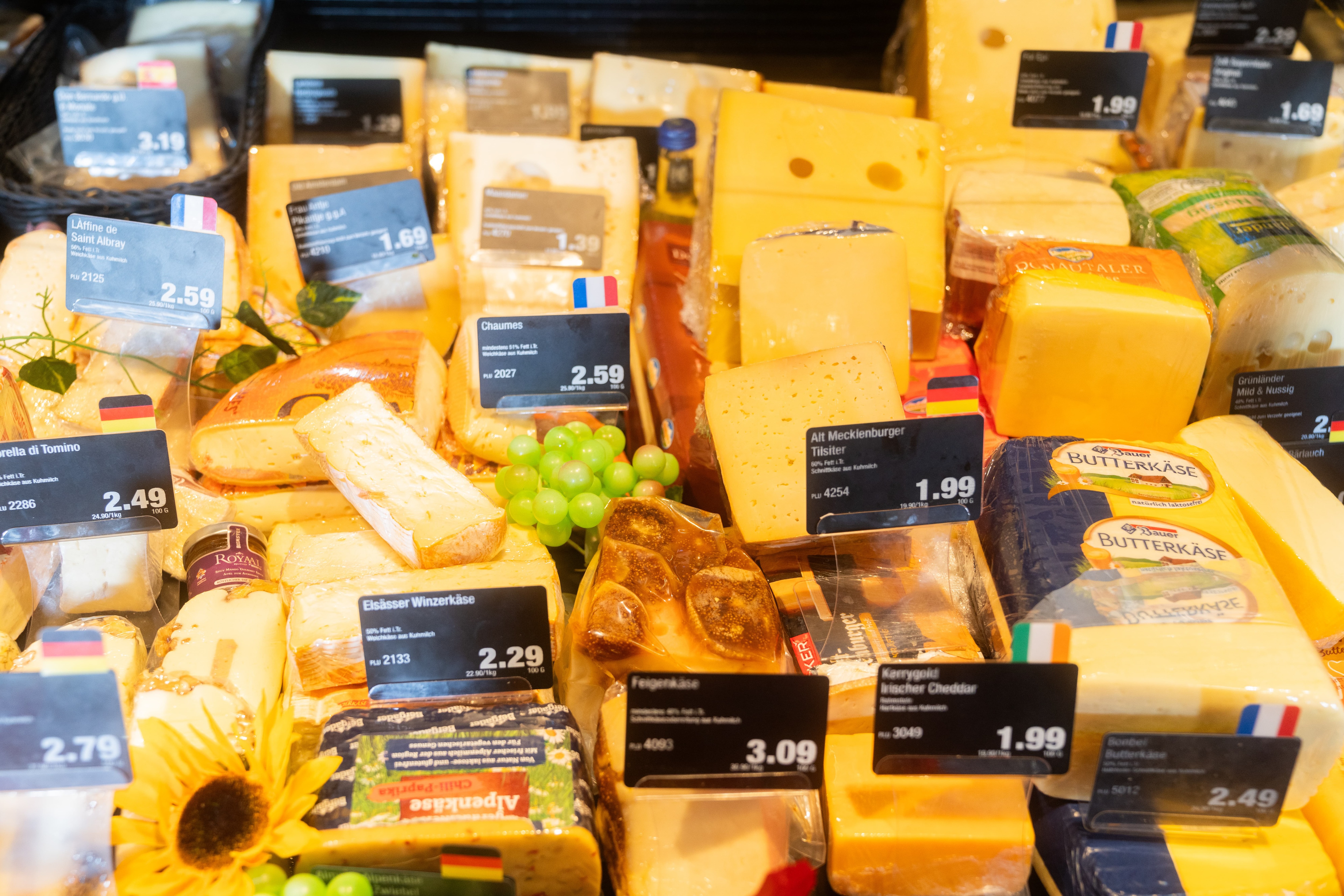 Verschiedene Käsesorten mit Preisschildern in einer Auslage.