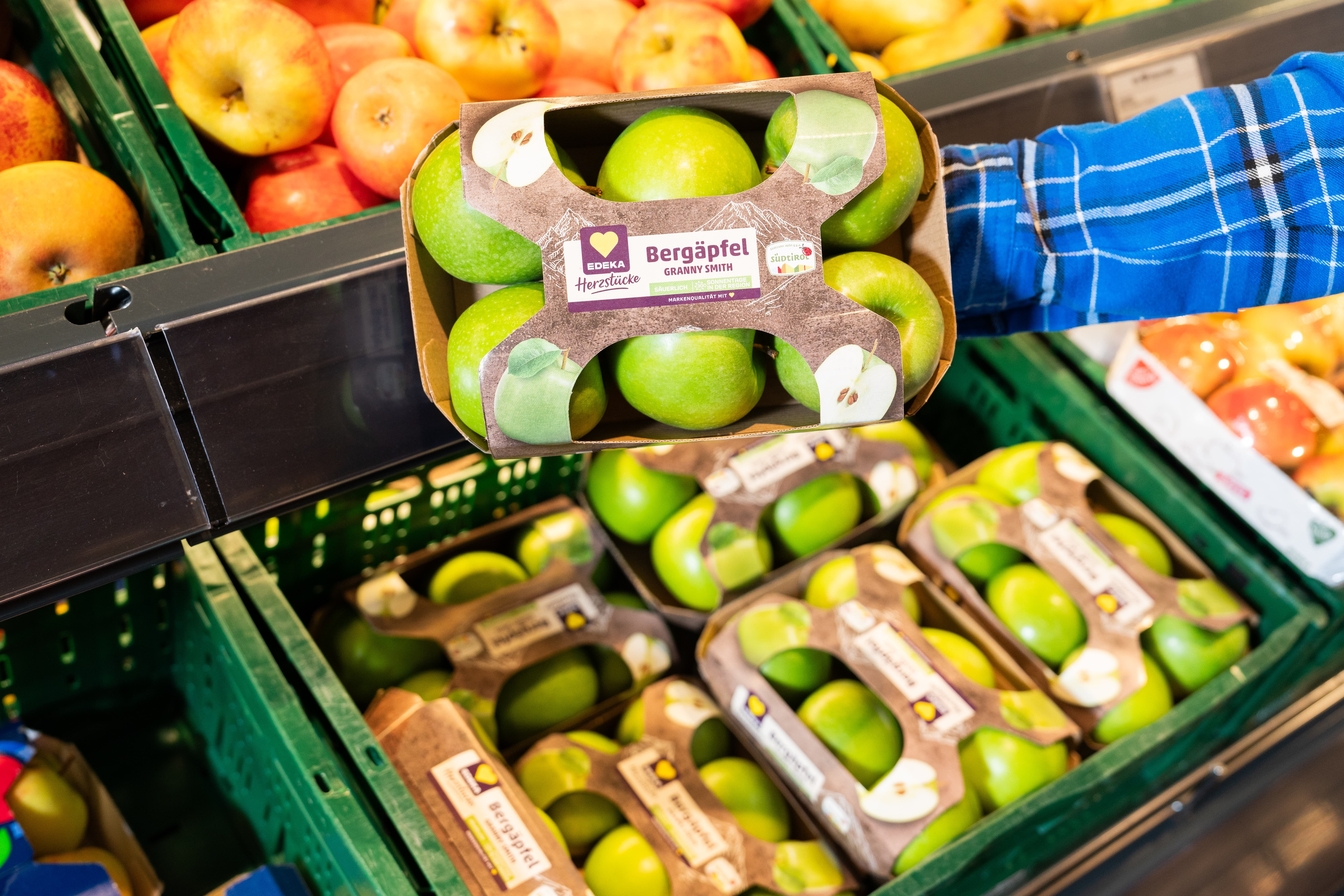 Eine Hand hält eine Packung mit sechs grünen Bergäpfeln.