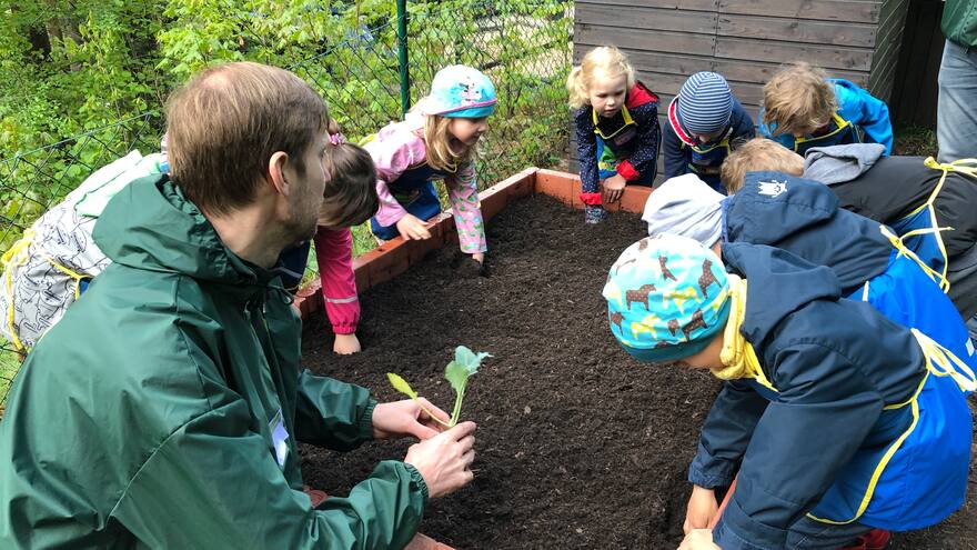 Einige Kinder bepflanzen ein Hochbeet mit einem Erwachsenen.
