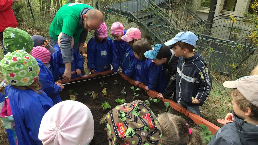 Viele Kinder bepflanzen mithilfe einess Erwachsenen ein Hochbeet mit Salat.