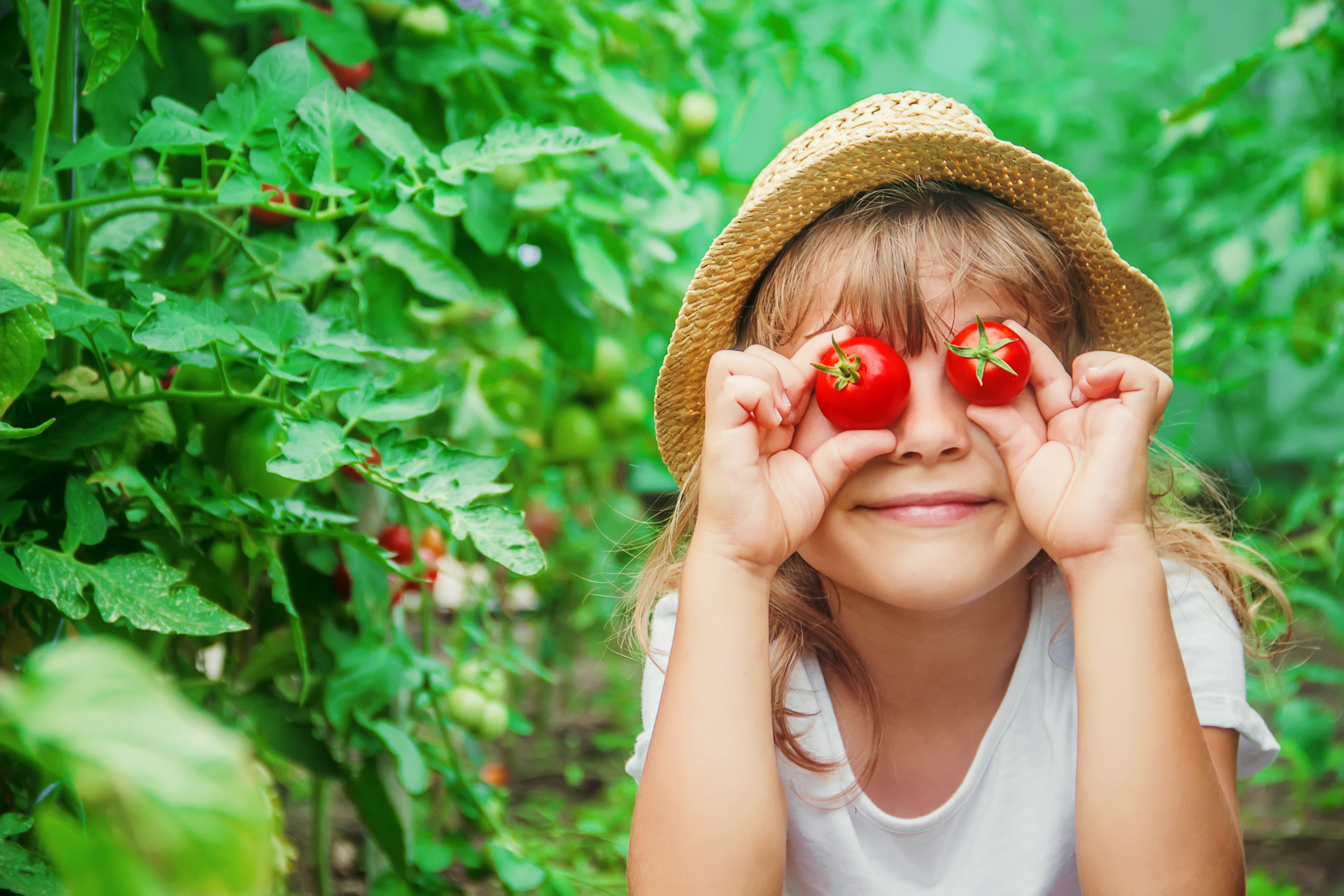 Ein Kind mit Strohhut hält sich zwei Tomaten vor die Augen.