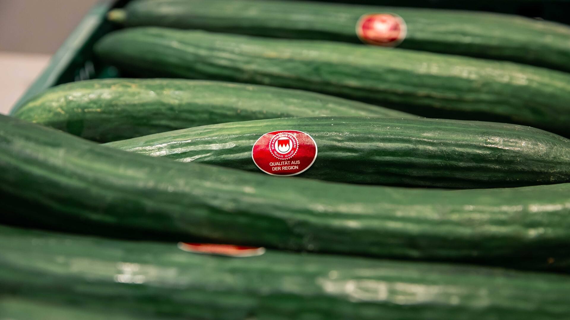 Nahaufnahme einer Kiste voller Gurken mit Aufklebern auf denen "Qualität aus der Region" steht.