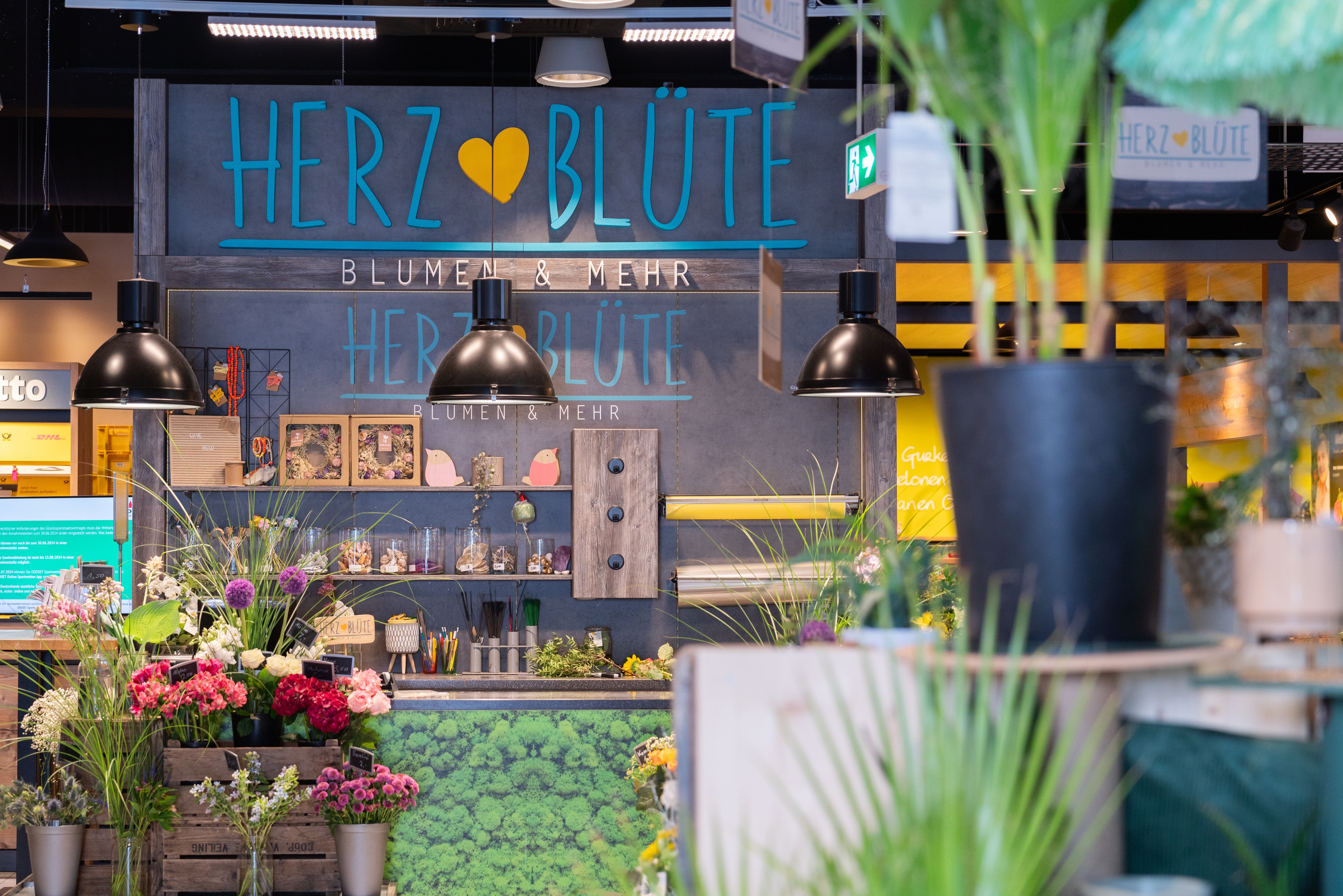 Ein Einblick in den Blumenladen eines EDEKA-Marktes.