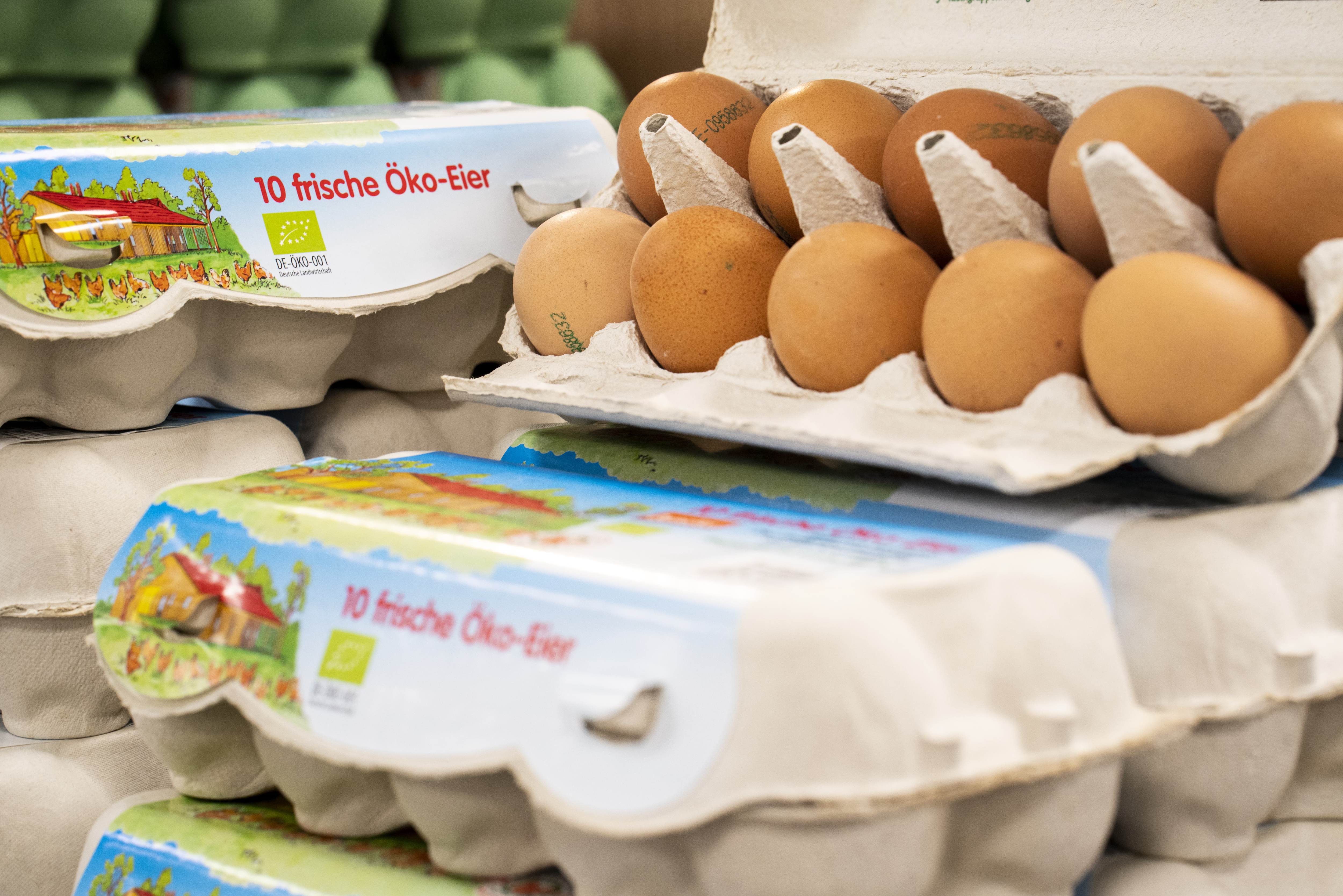 Nahaufnahme einer offenen Packung Eier, daneben eine geschlossene mit der Aufschrift 10 frische Öko-Eier.