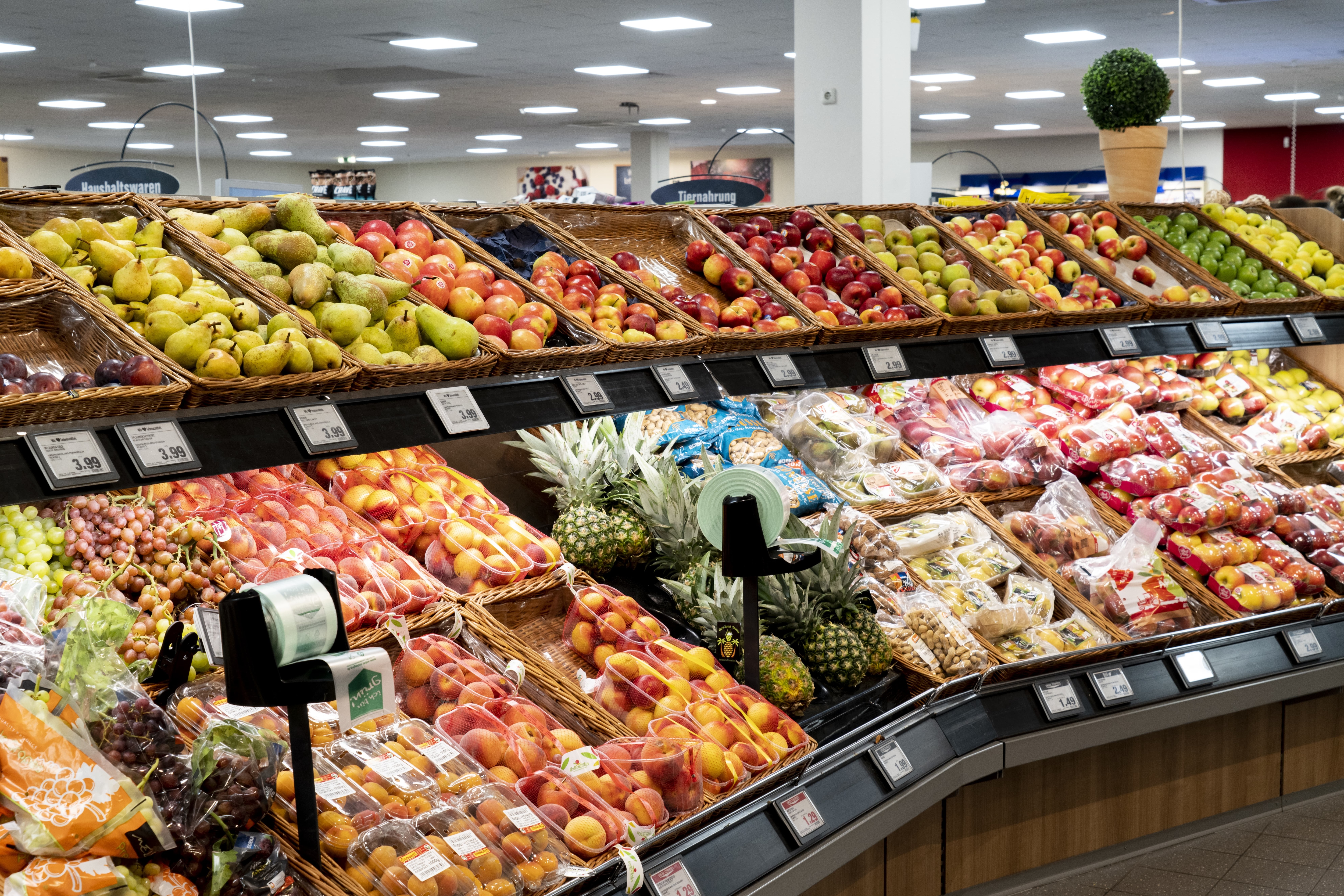 Obstauslage mit Pfirsichen, Birnen, Äpfeln und Zitrusfrüchten.