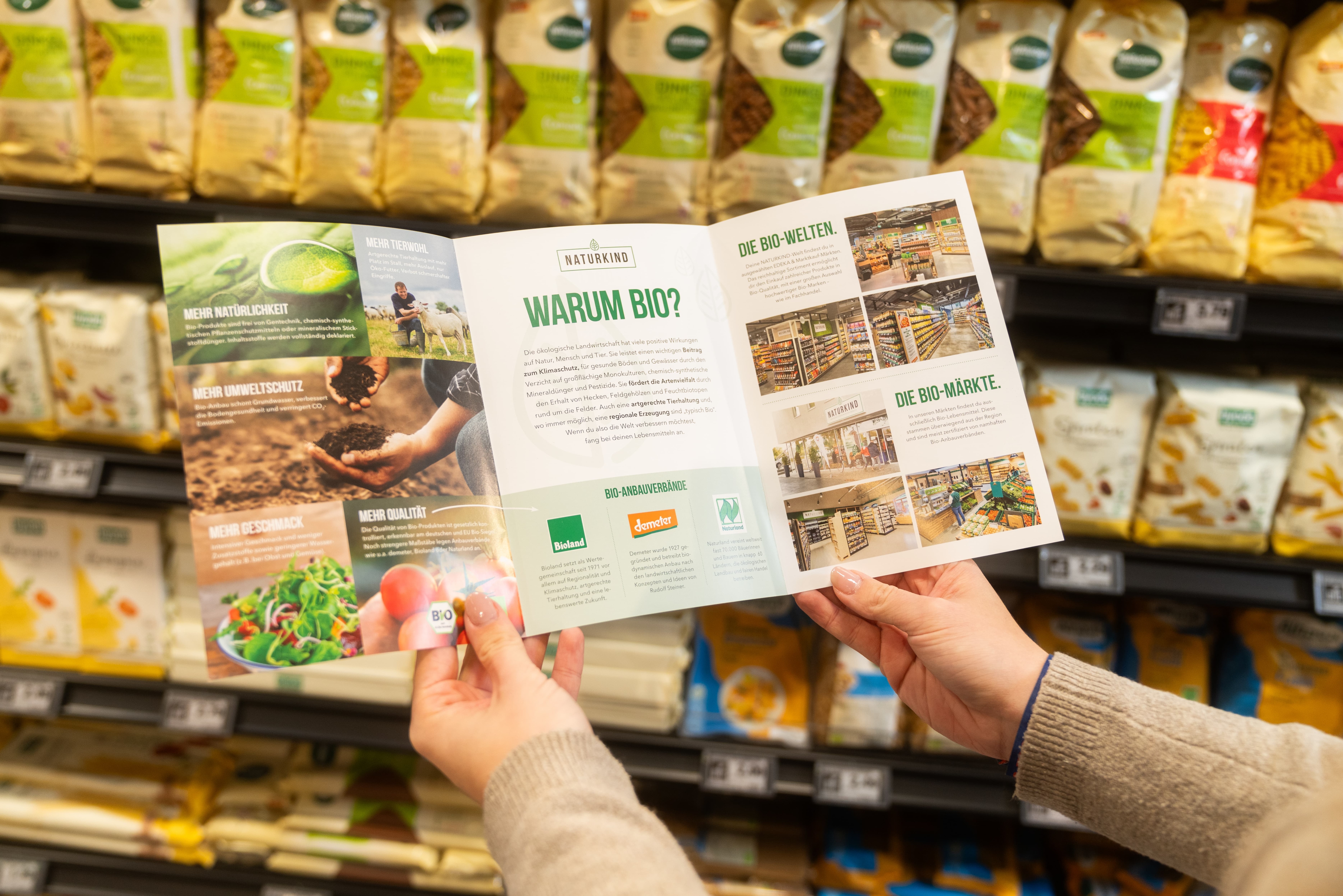 Zwei Hände halten einen aufgeklappten Flyer von NATURKIND hoch. Auf dem Titel steht Warum bio?