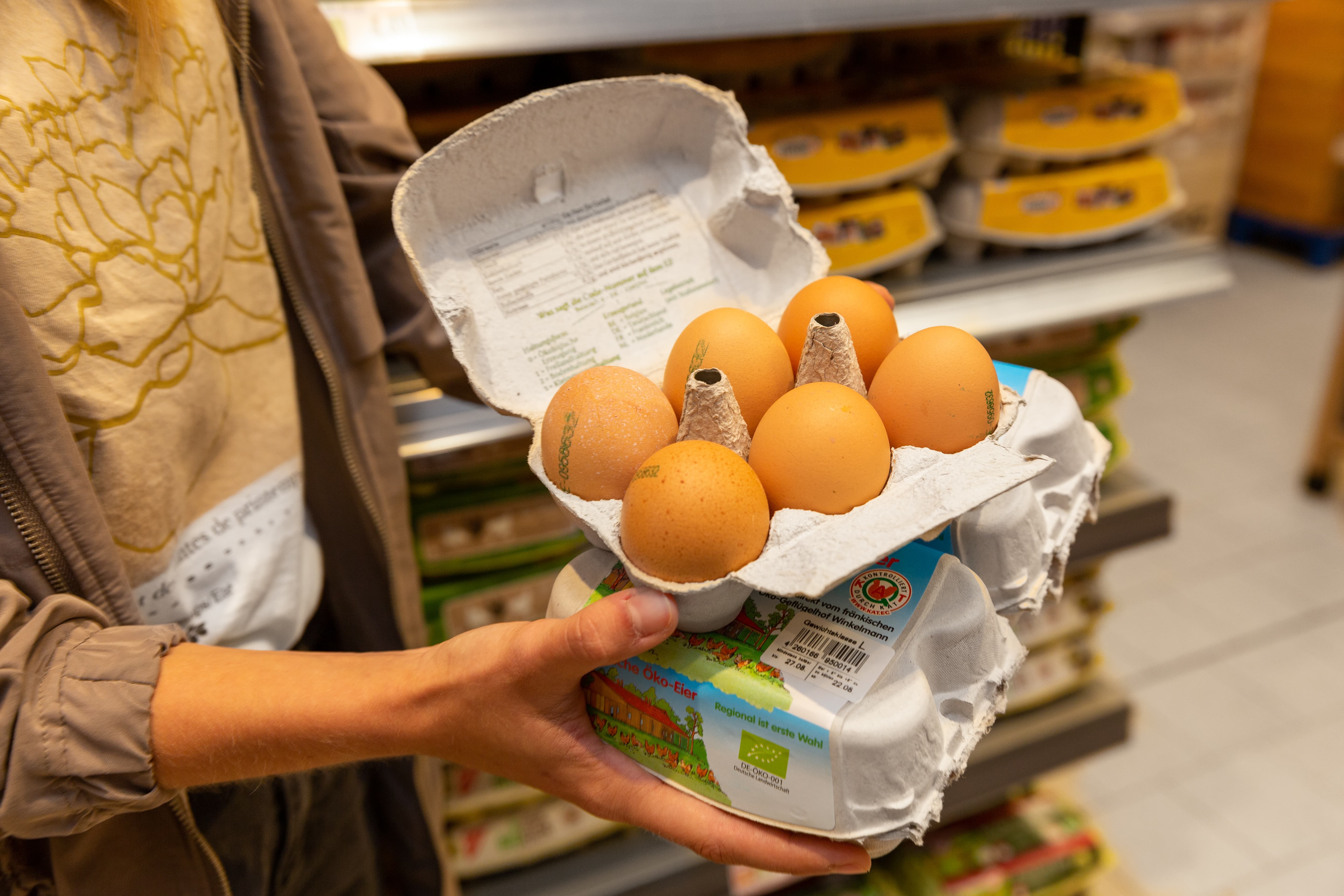 Zwei Hände halten drei Packungen Eier. Eine der Packungen ist aufgeklappt, sodass sechs braune Eier zu sehen sind.
