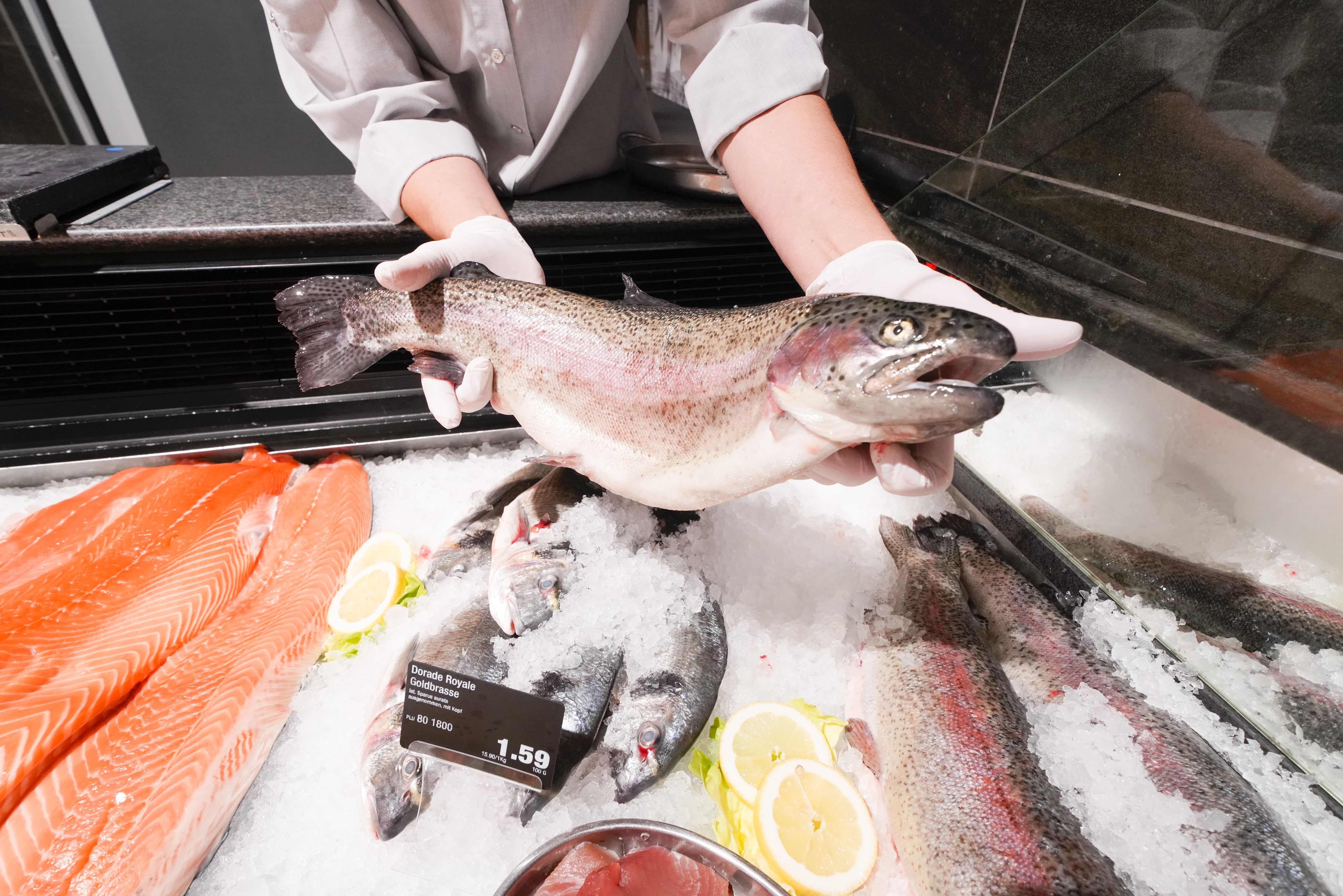 Eine Person in Arbeitskleidung und Gummihandschuhen hält über der Auslage einer Fischtheke einen Fisch mit beiden Händen in die Kamera. Weitere Sorten Fisch liegen in der Auslage auf Eis.