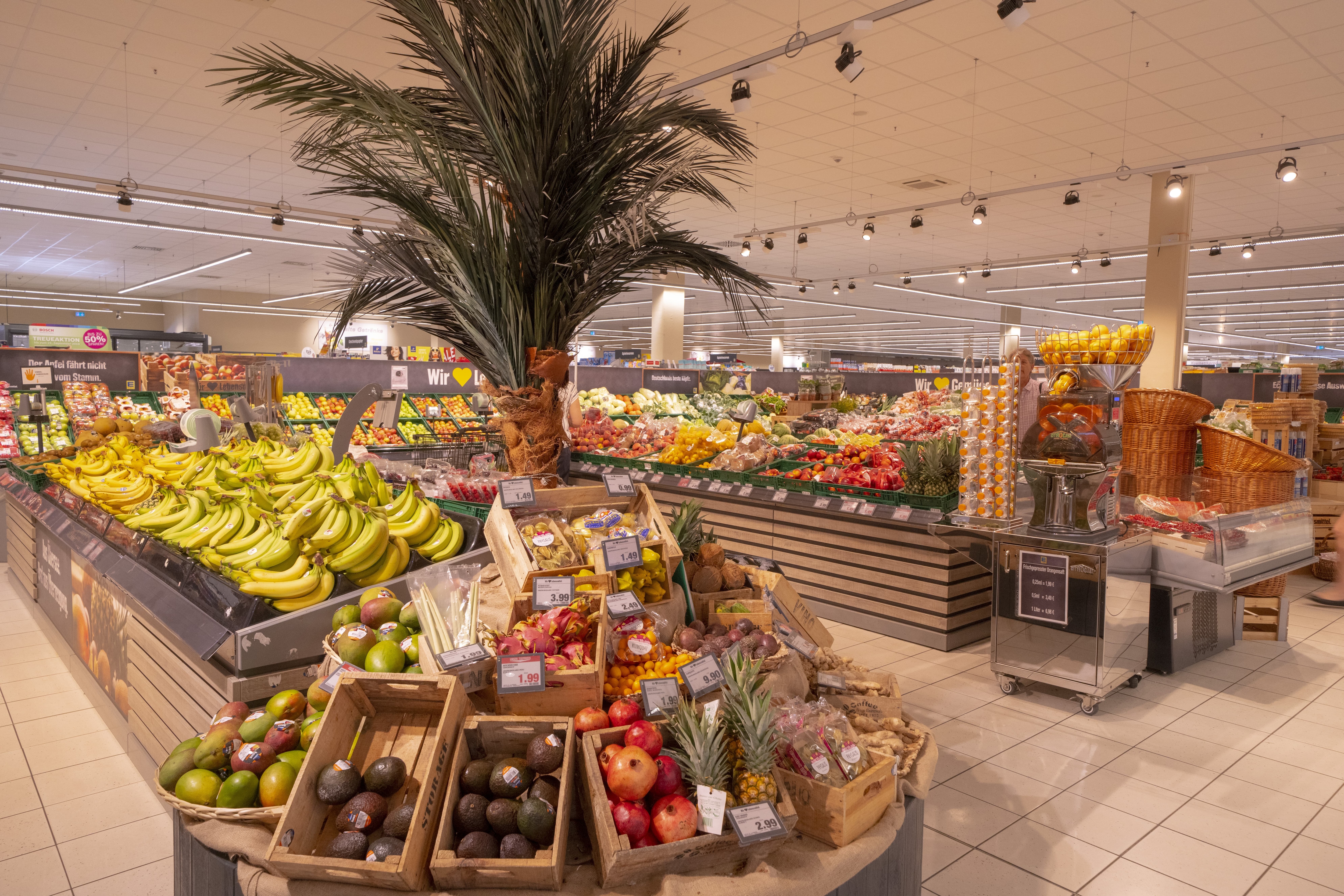 Die Obst- und Gemüseabteilung eines EDEKA-Markts. Im Vordergrund wächst eine Palme aus einer Produktinsel.