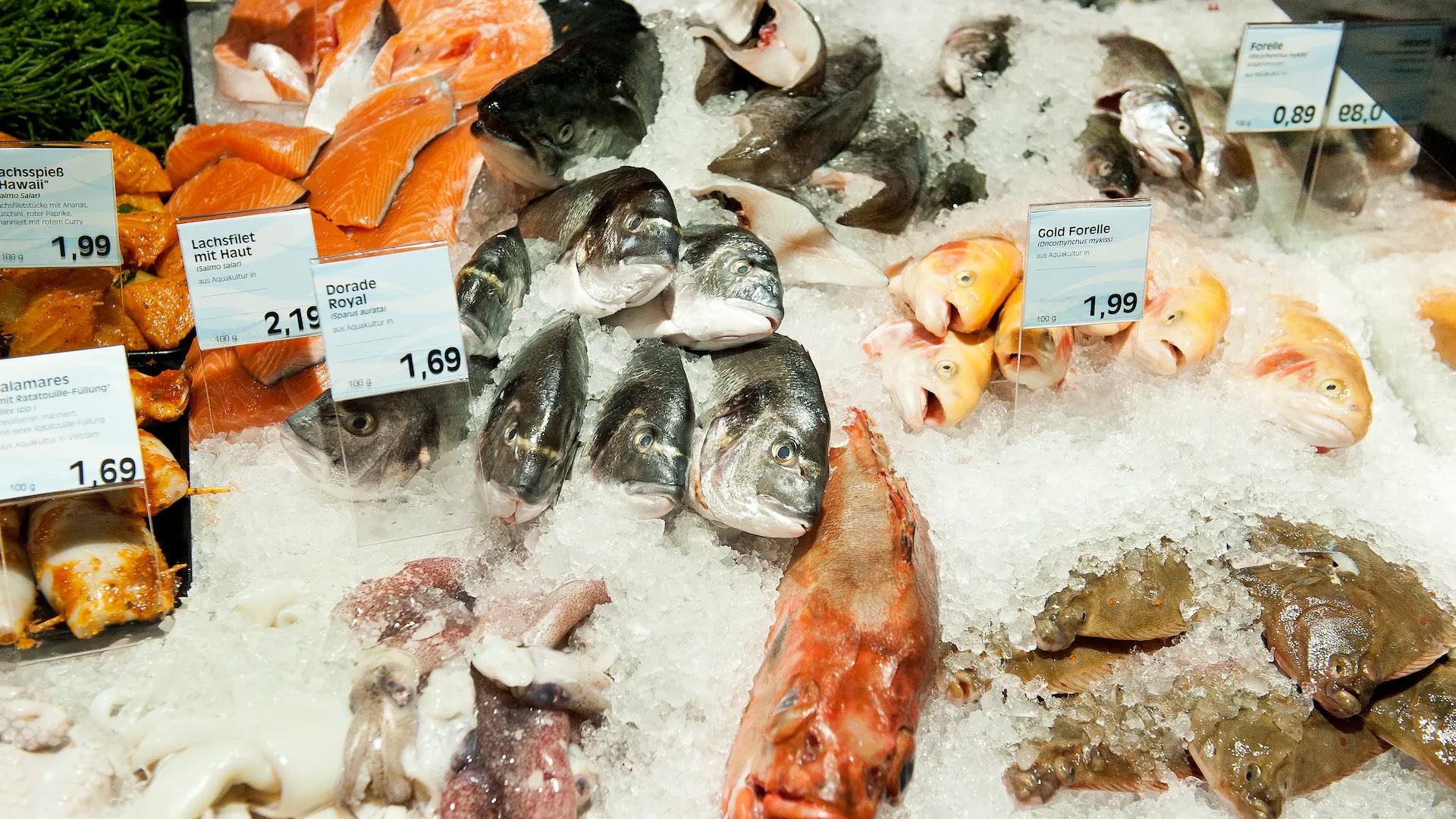 Verschiedenster Fische in der Auslage.