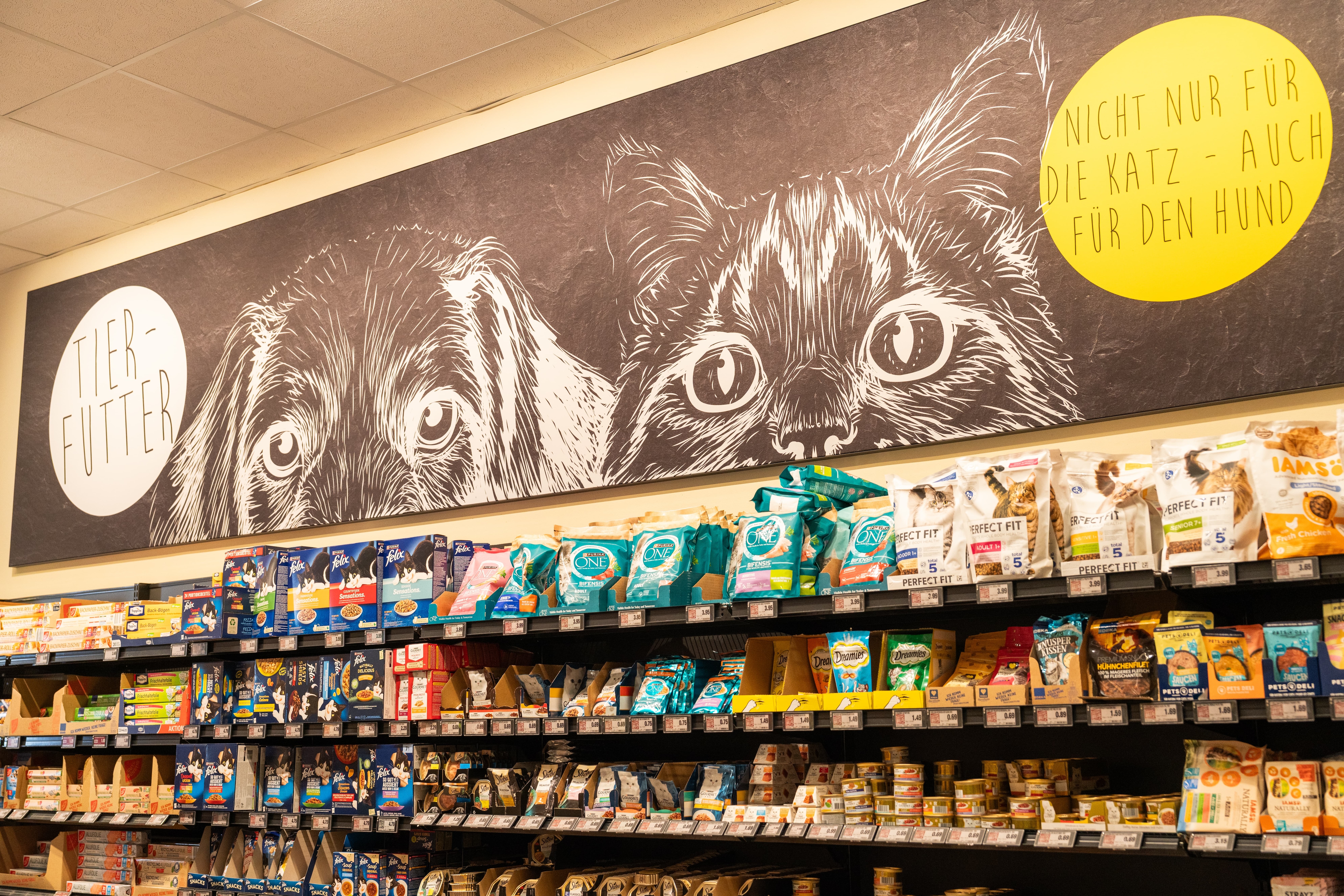 Regal mit Tiernahrung. Darüber große Wandgestaltng auf der jeweils ein Hund und ein Katzengesicht zu sehen sind.