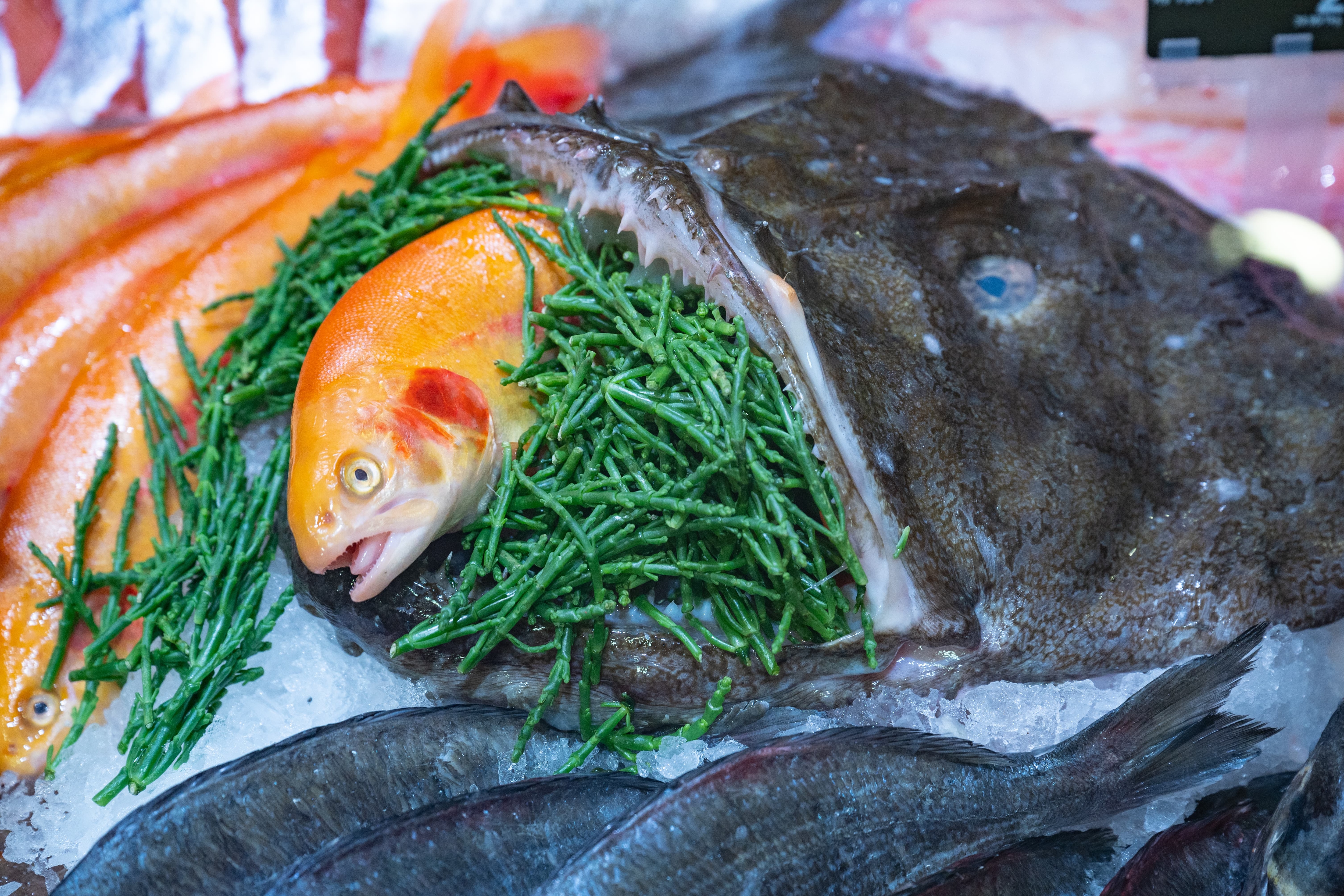 Nahaufnahme zweier Fische in der Auslage einer Bedientheke.