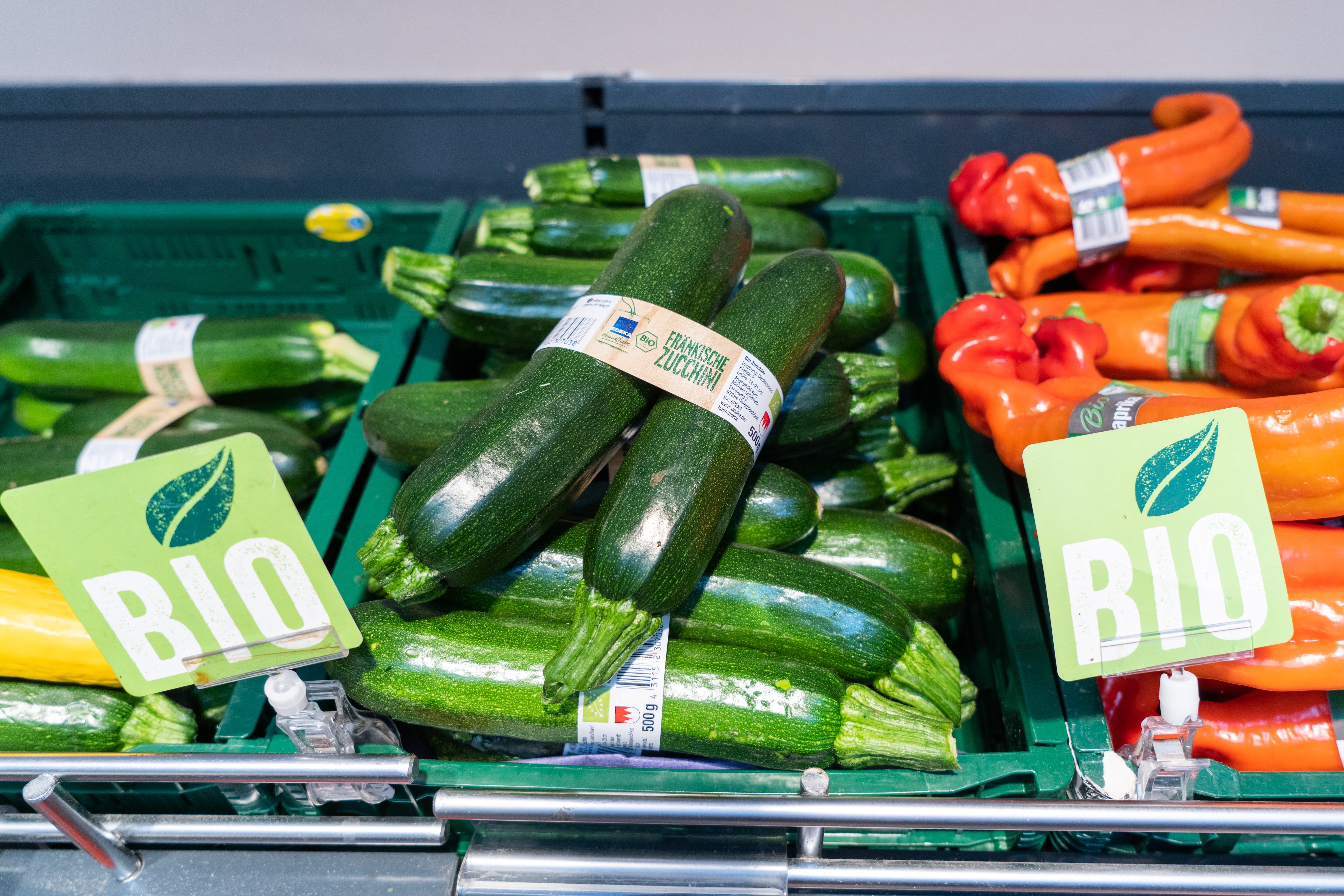 Nahaufnahme einer Kiste fränkischer Bio-Zucchini.