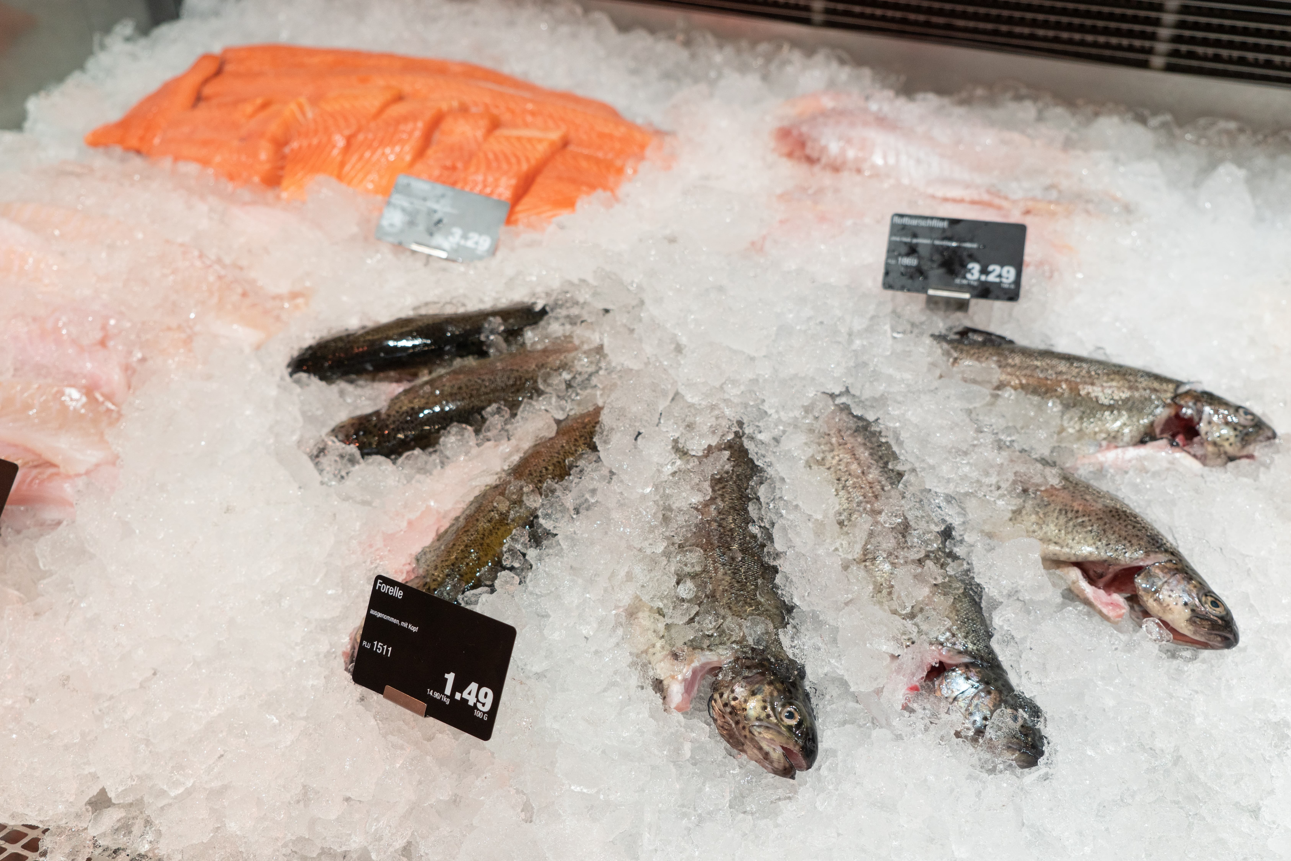 Verschiedene Fischprodukte in einer mit Eis gefüllten Auslage.