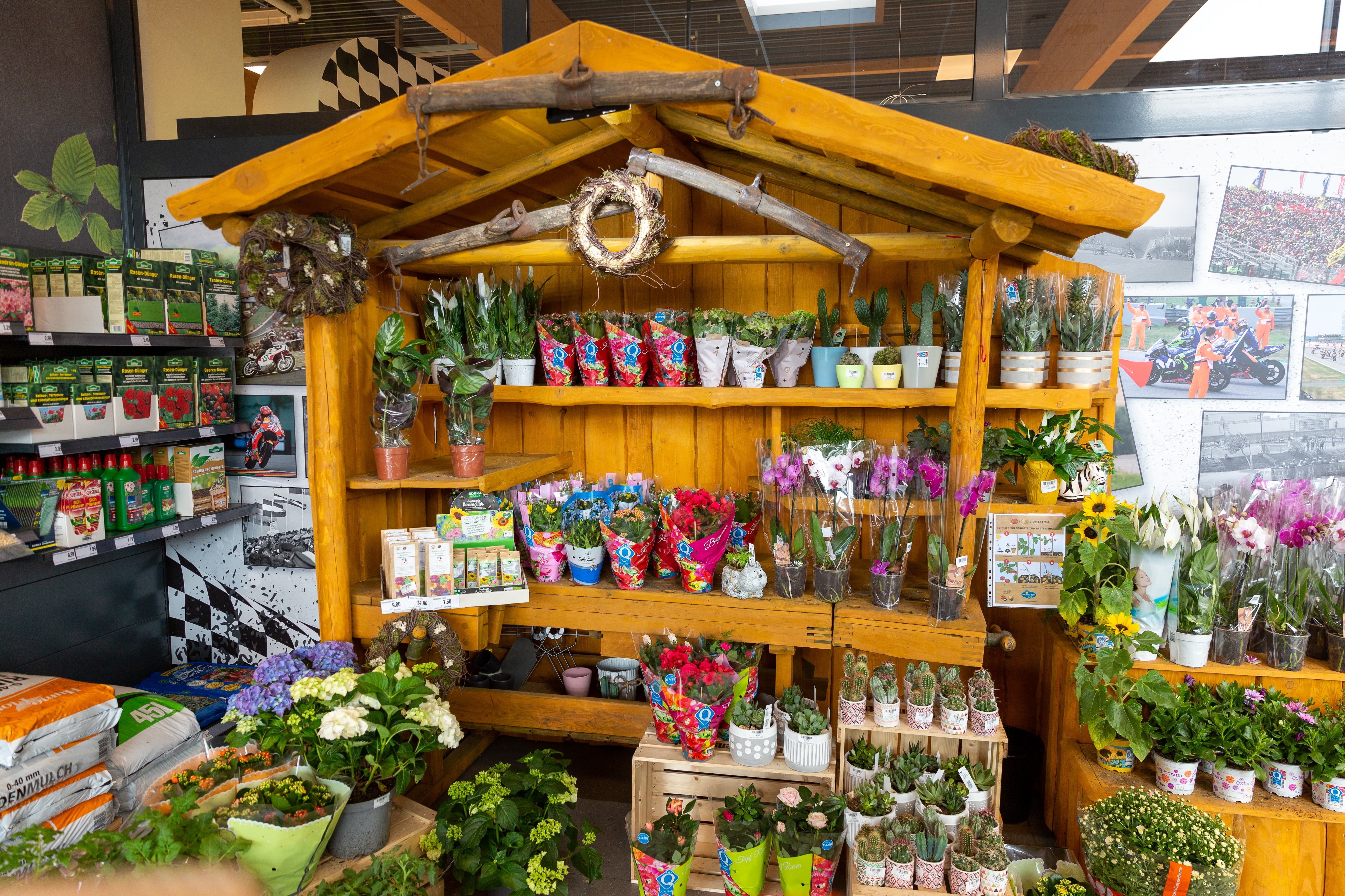 Ein Stand mit Blumen in einer Holzhütte.