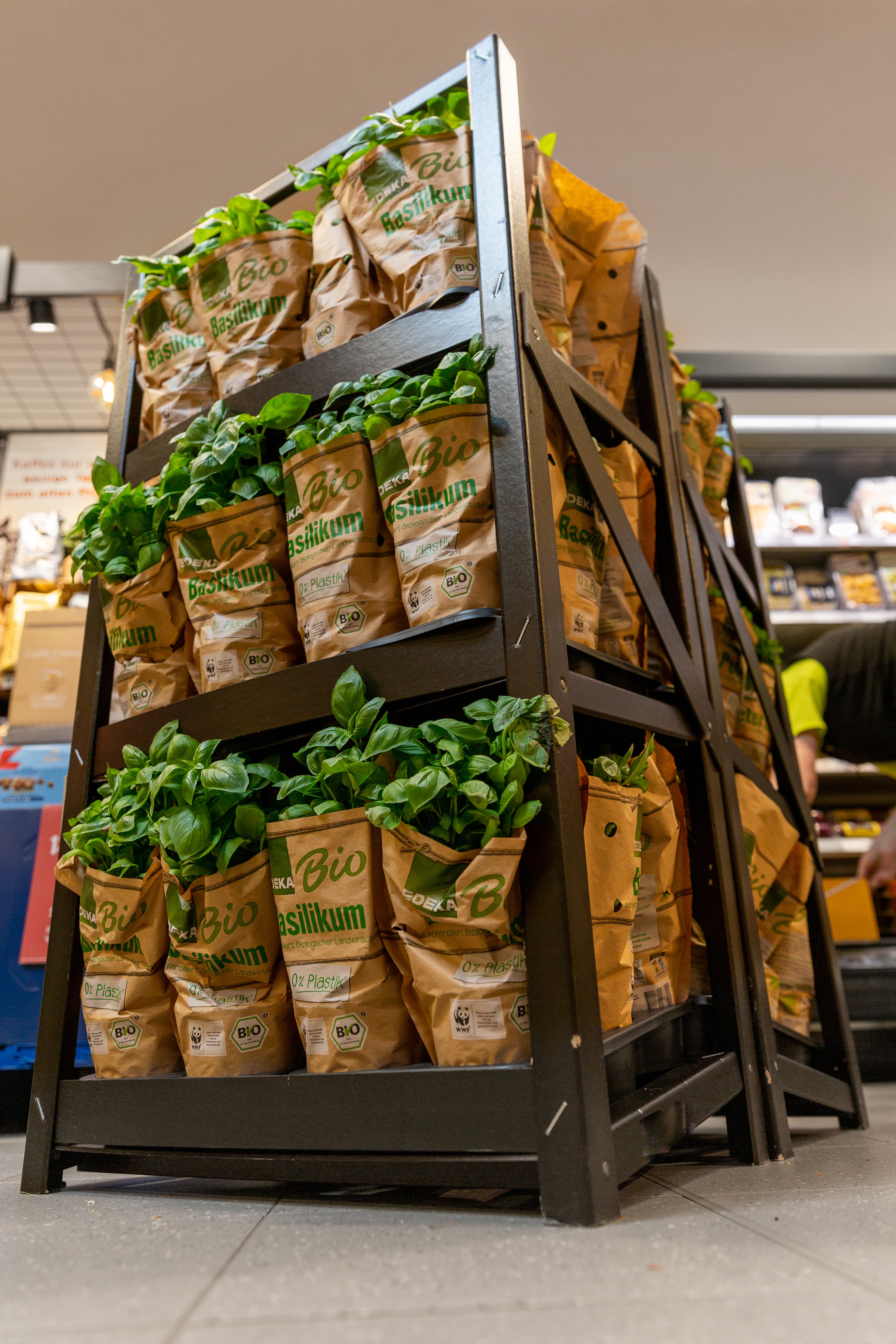 Ein kleines Regal gefüllt mit in Papier verpackten Bio-Basilikum-Pflanzen.