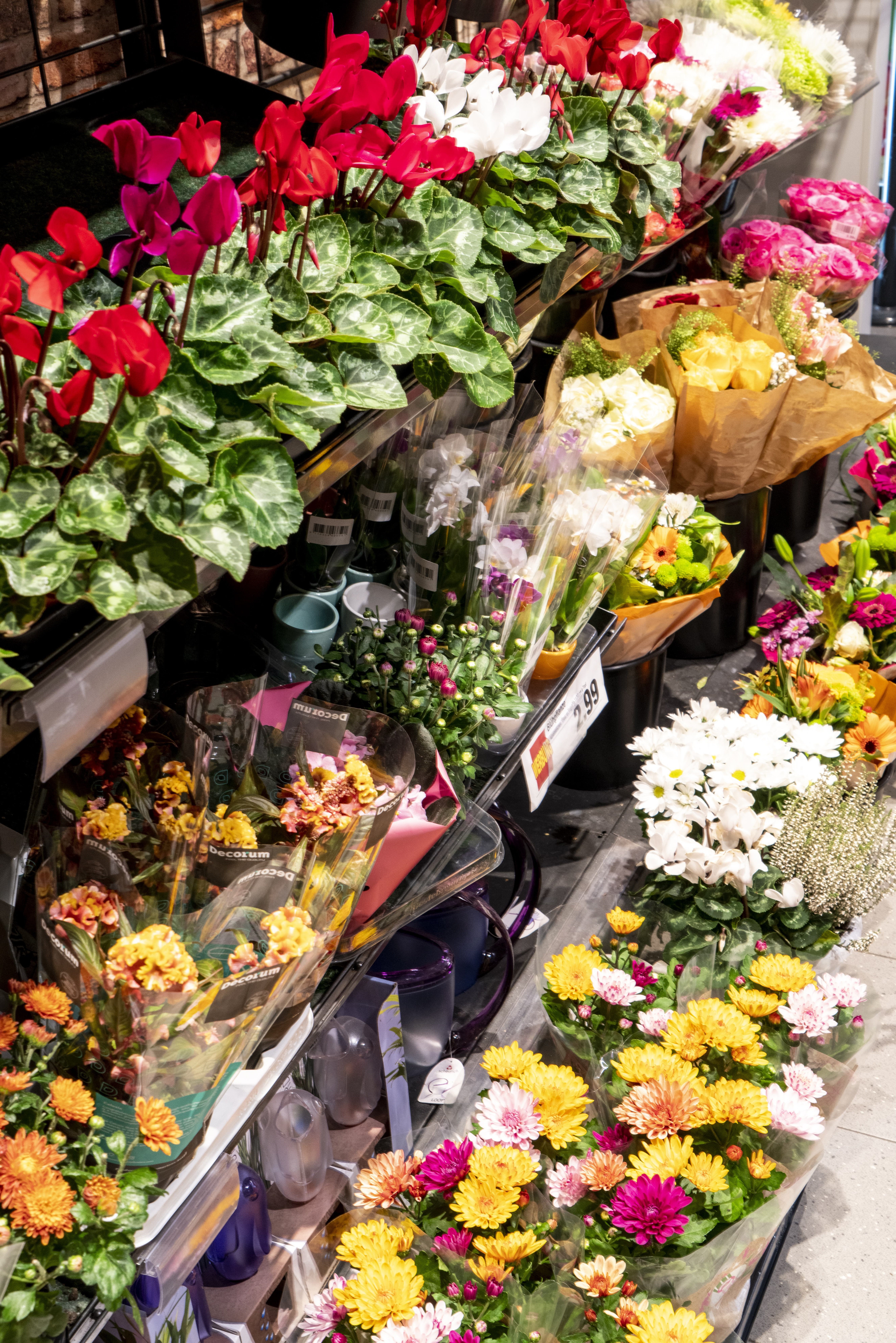 Die Blumenauslage eines EDEKA-Markts, bunt und vielfältig.