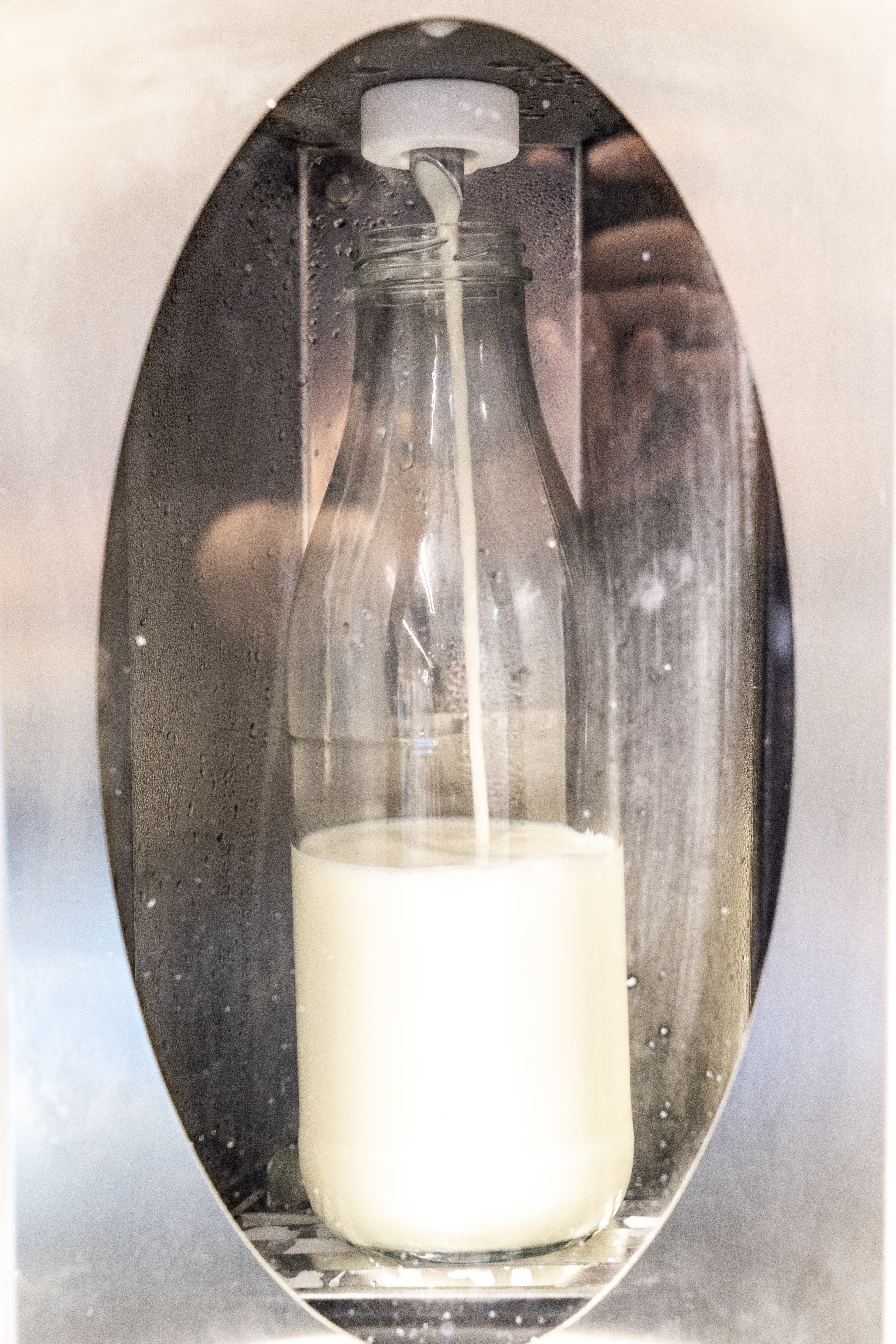 Eine Glasflasche mit Milch steht in einer Metallnische.