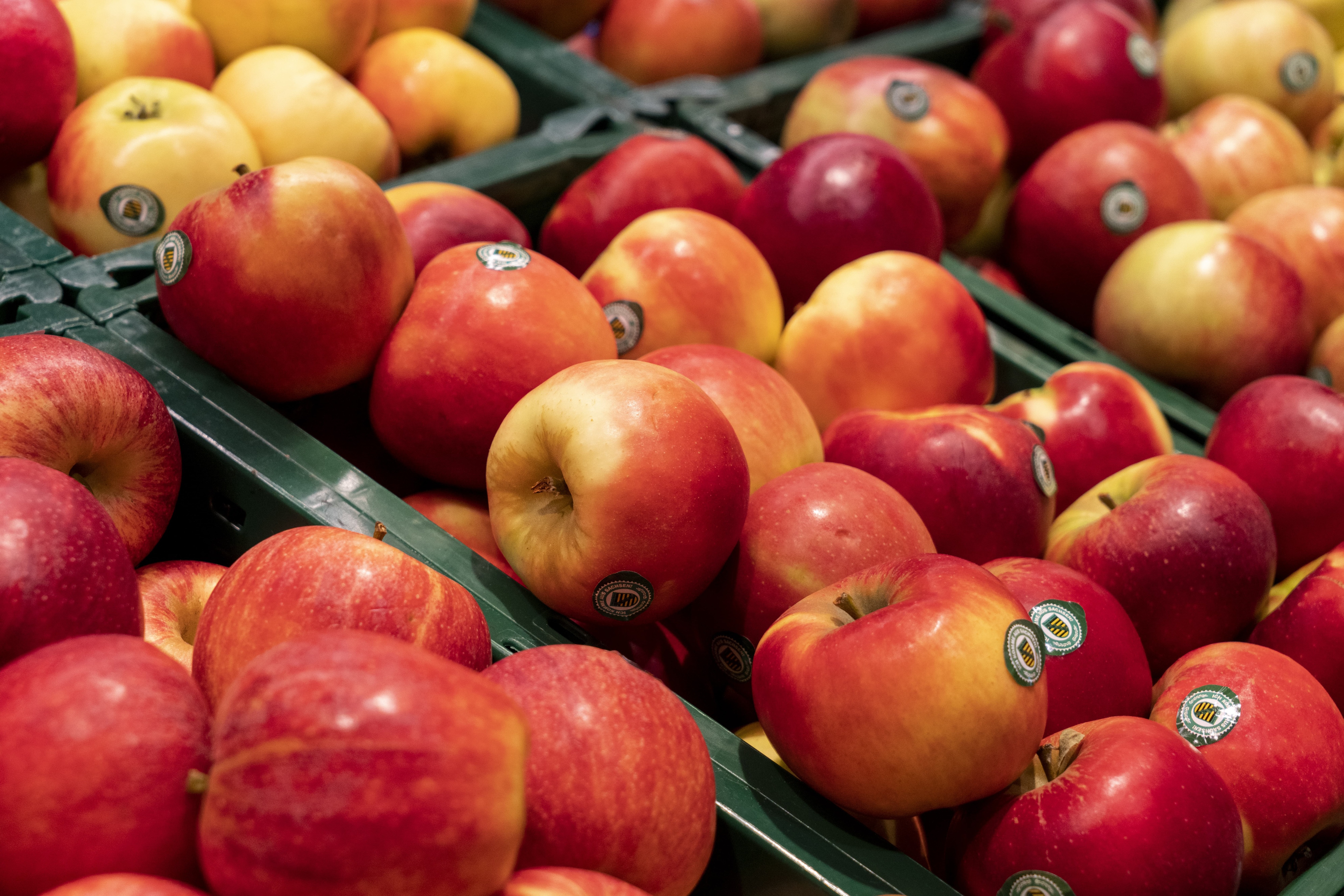 Äpfel in der Obst- und Gemüseabteilung eines EDEKA Markts.